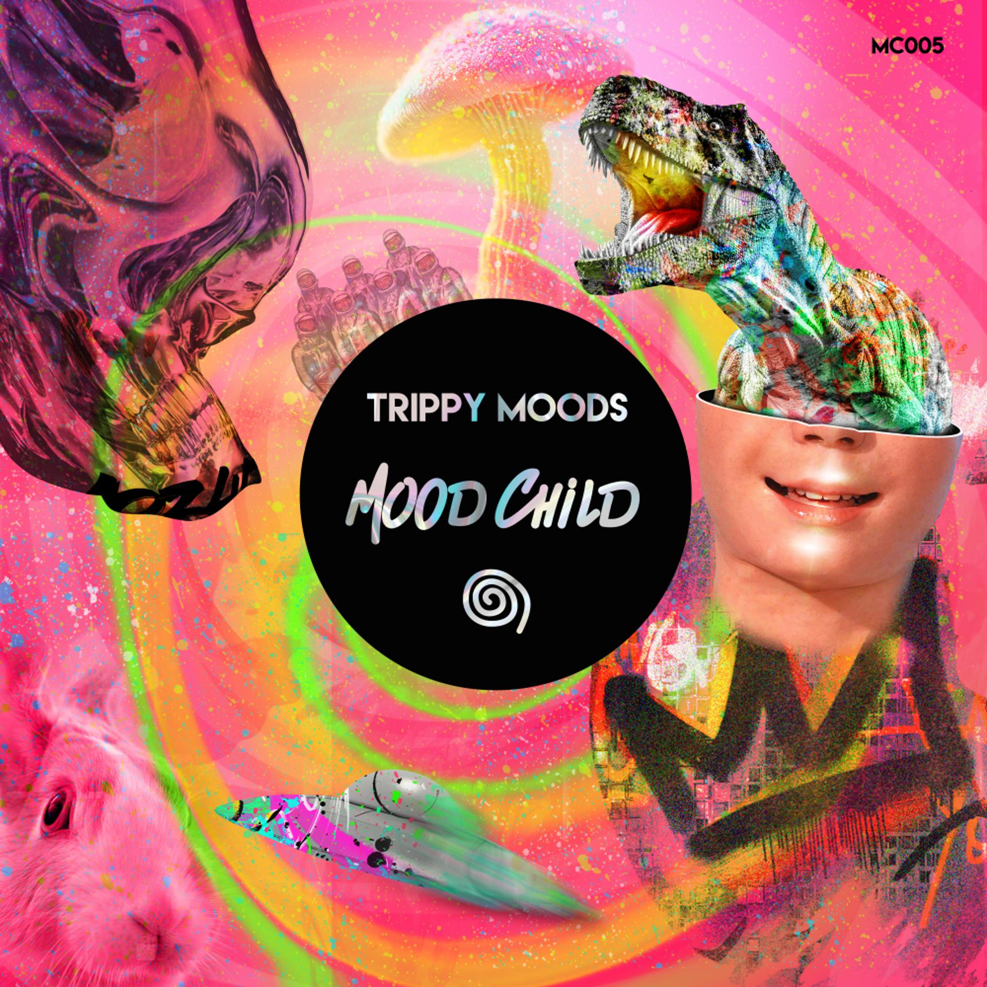 Постер альбома Trippy Moods