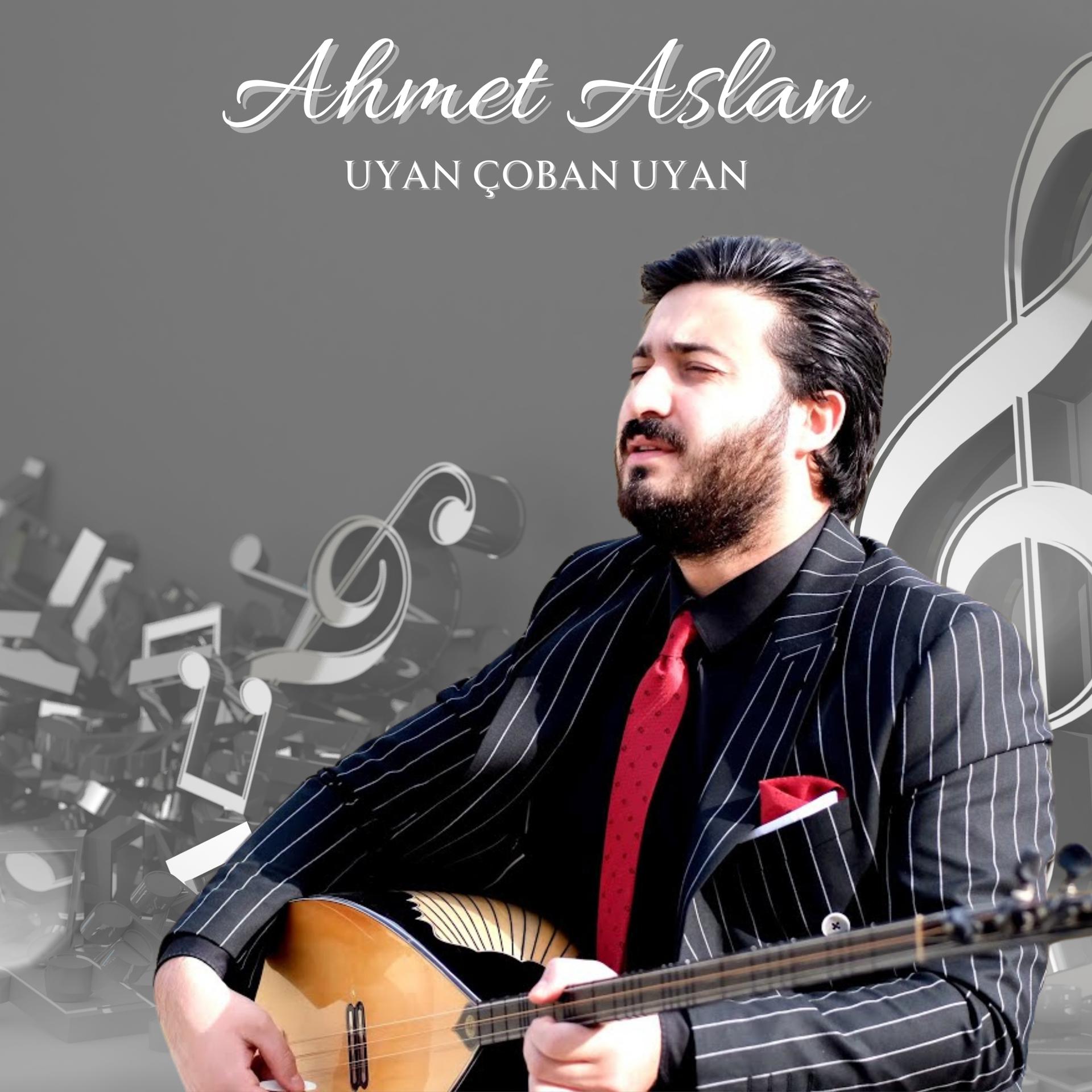 Постер альбома Uyan Çoban Uyan