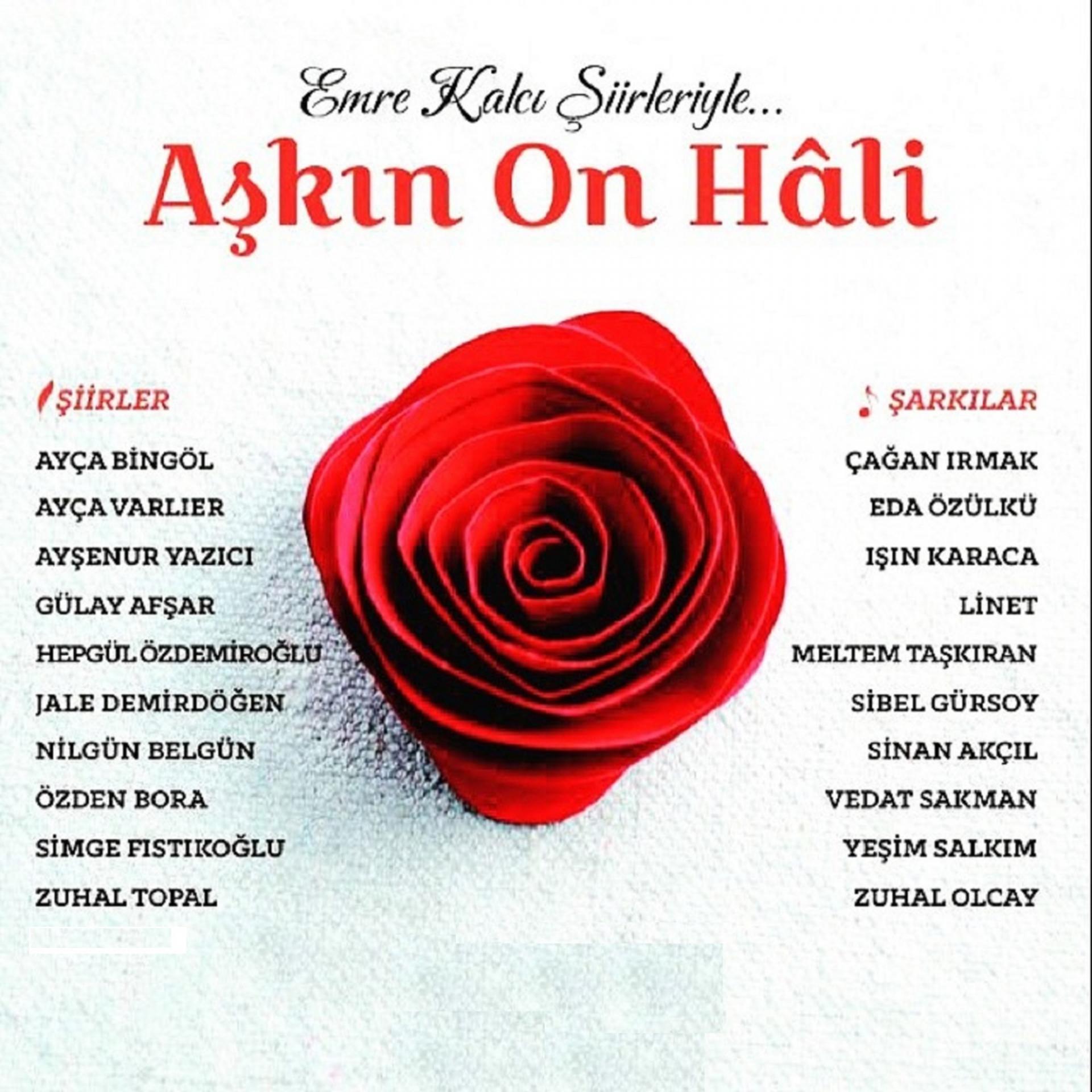 Постер альбома Aşkın On Hâli