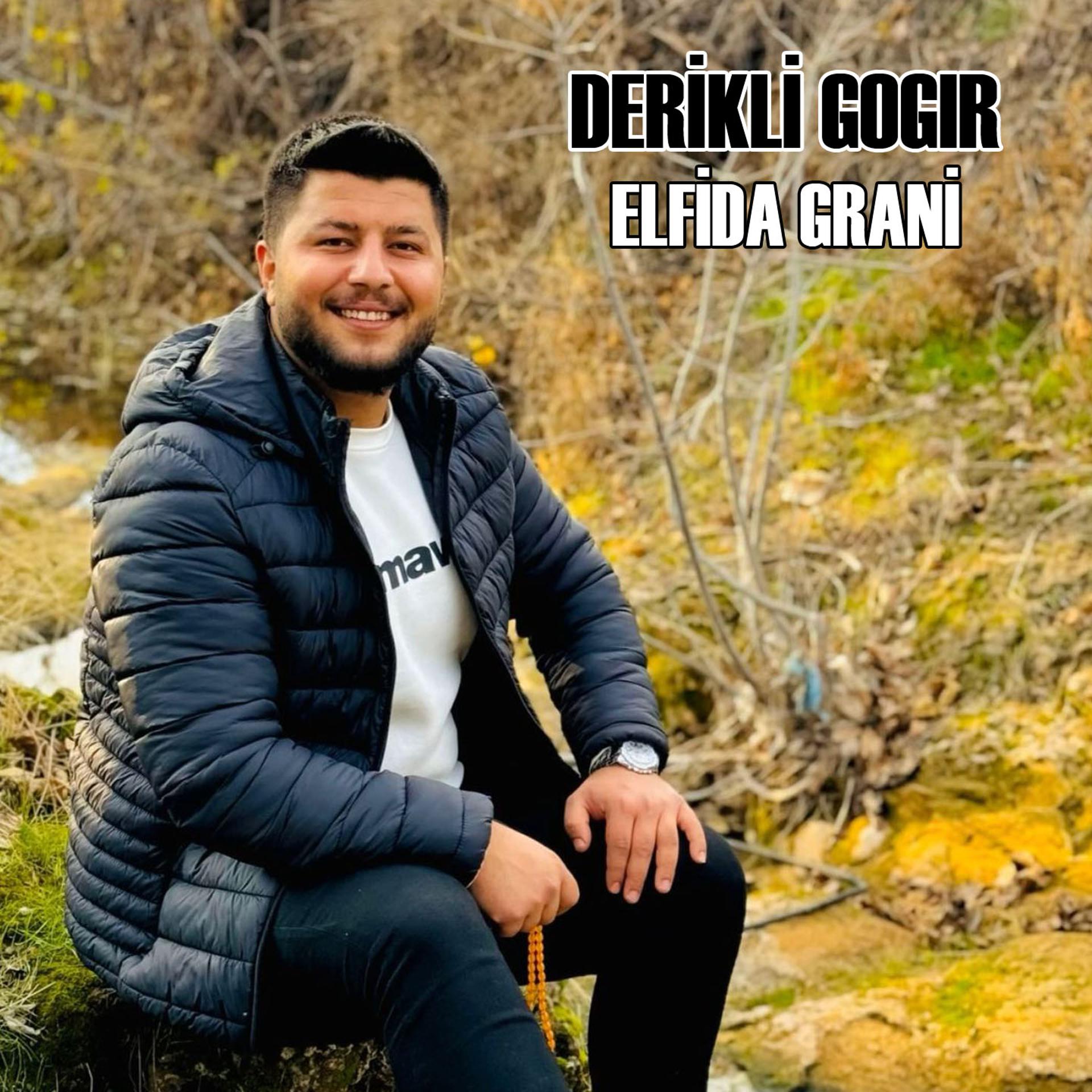Постер альбома Elfida Grani