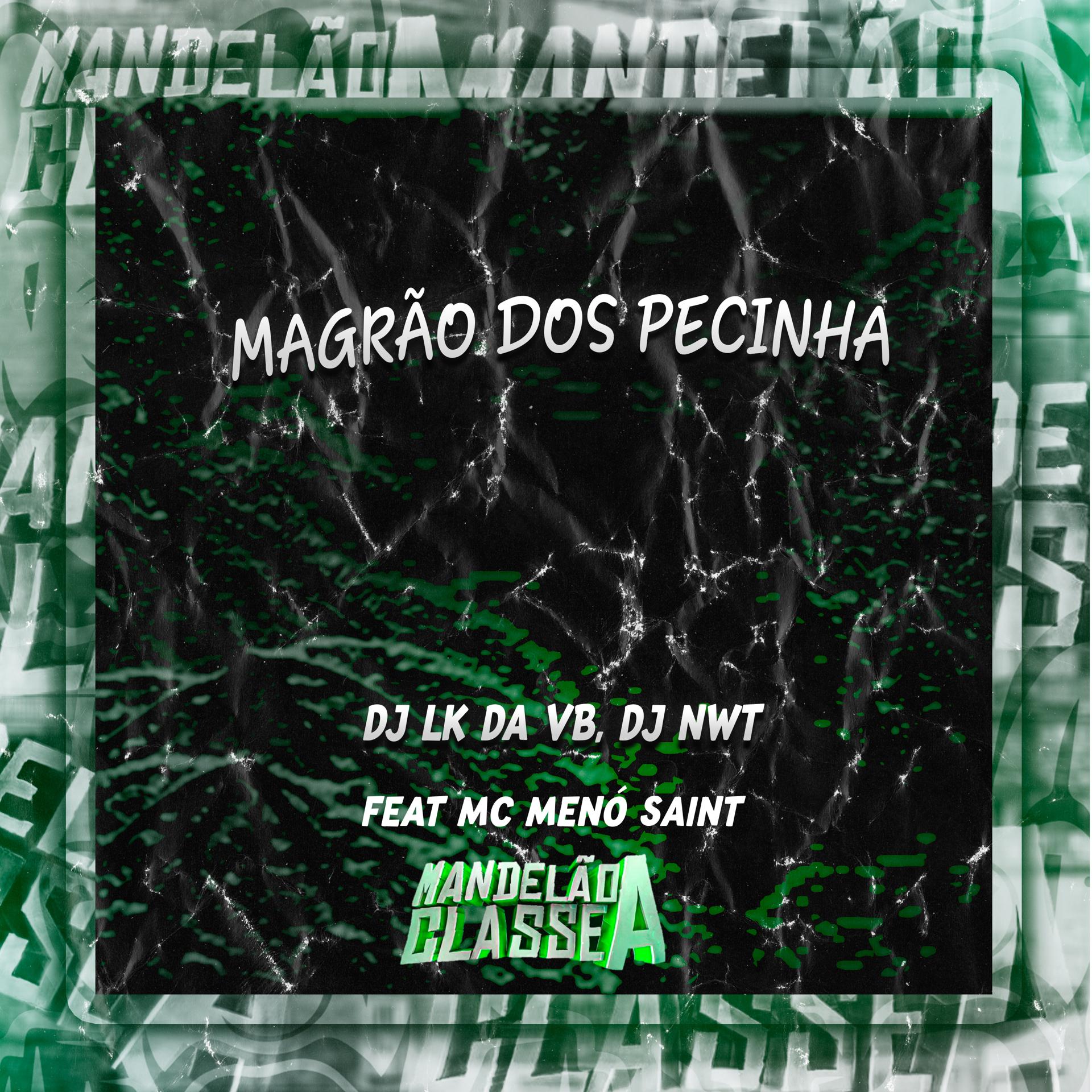 Постер альбома Magrão dos Pecinha