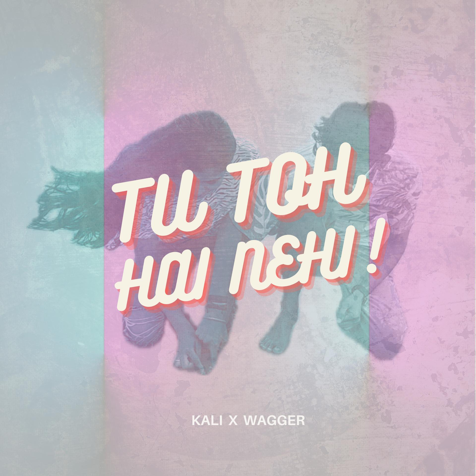 Постер альбома Tu Toh Hai Nehi