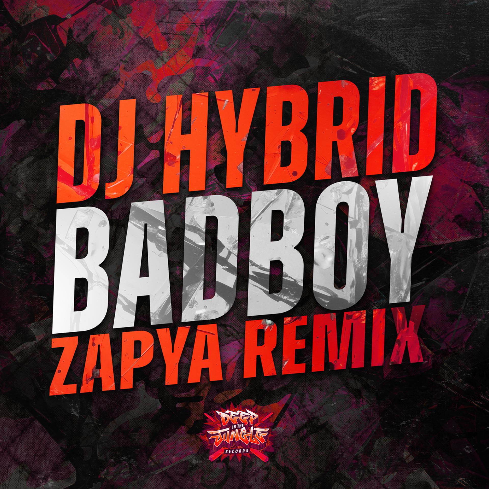 Постер альбома Badboy (Zapya Remix)