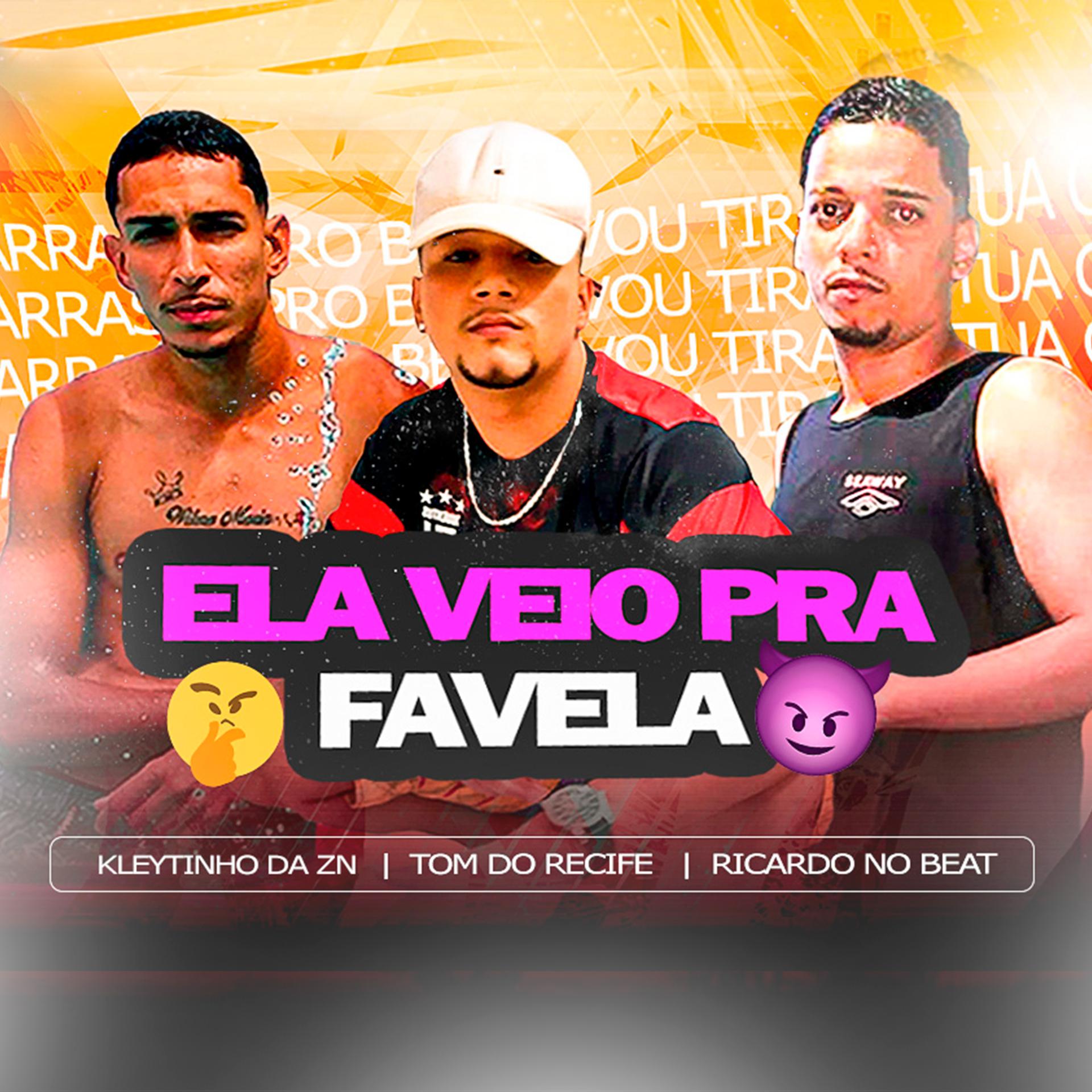 Постер альбома Ela Veio pra Favela