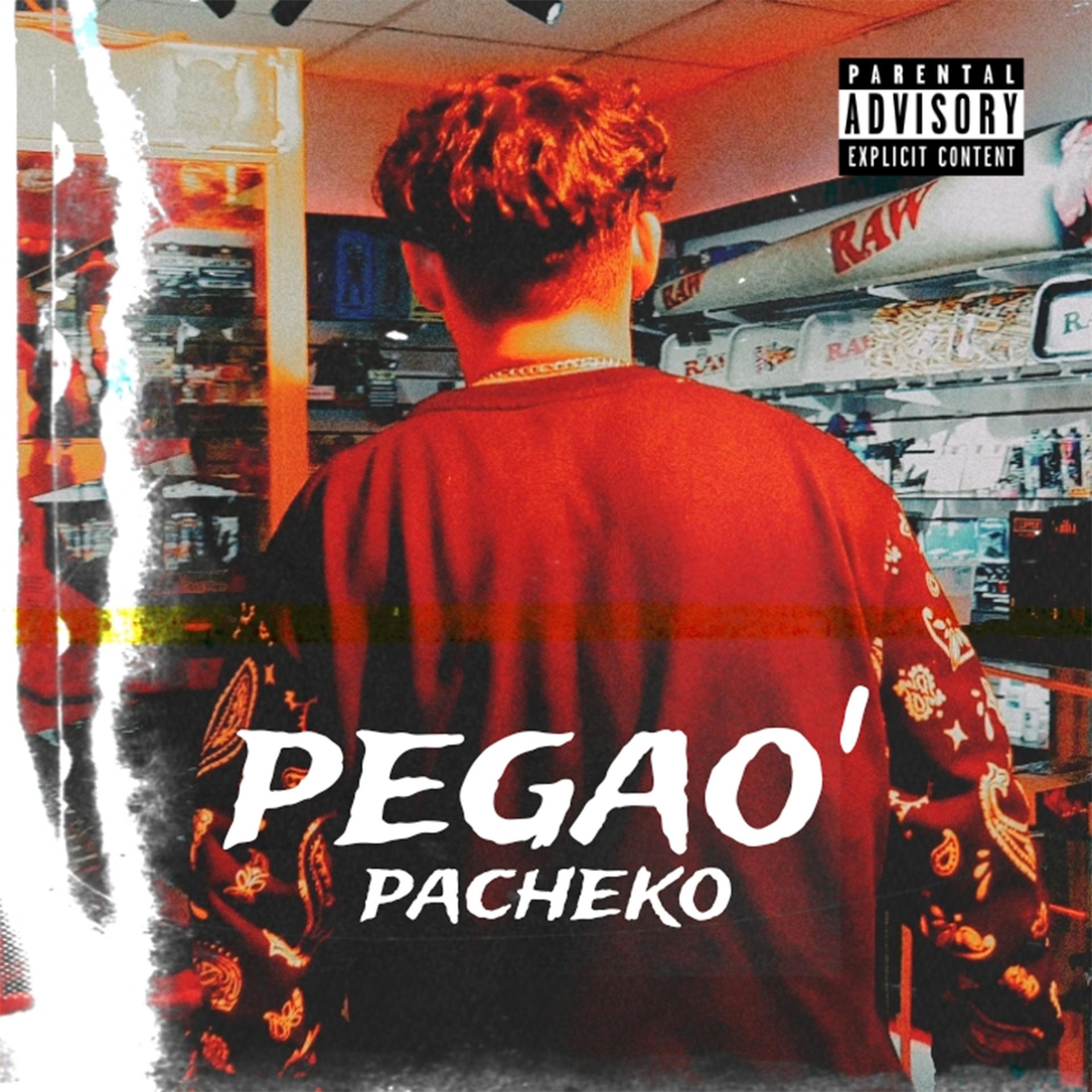 Постер альбома Pegao'