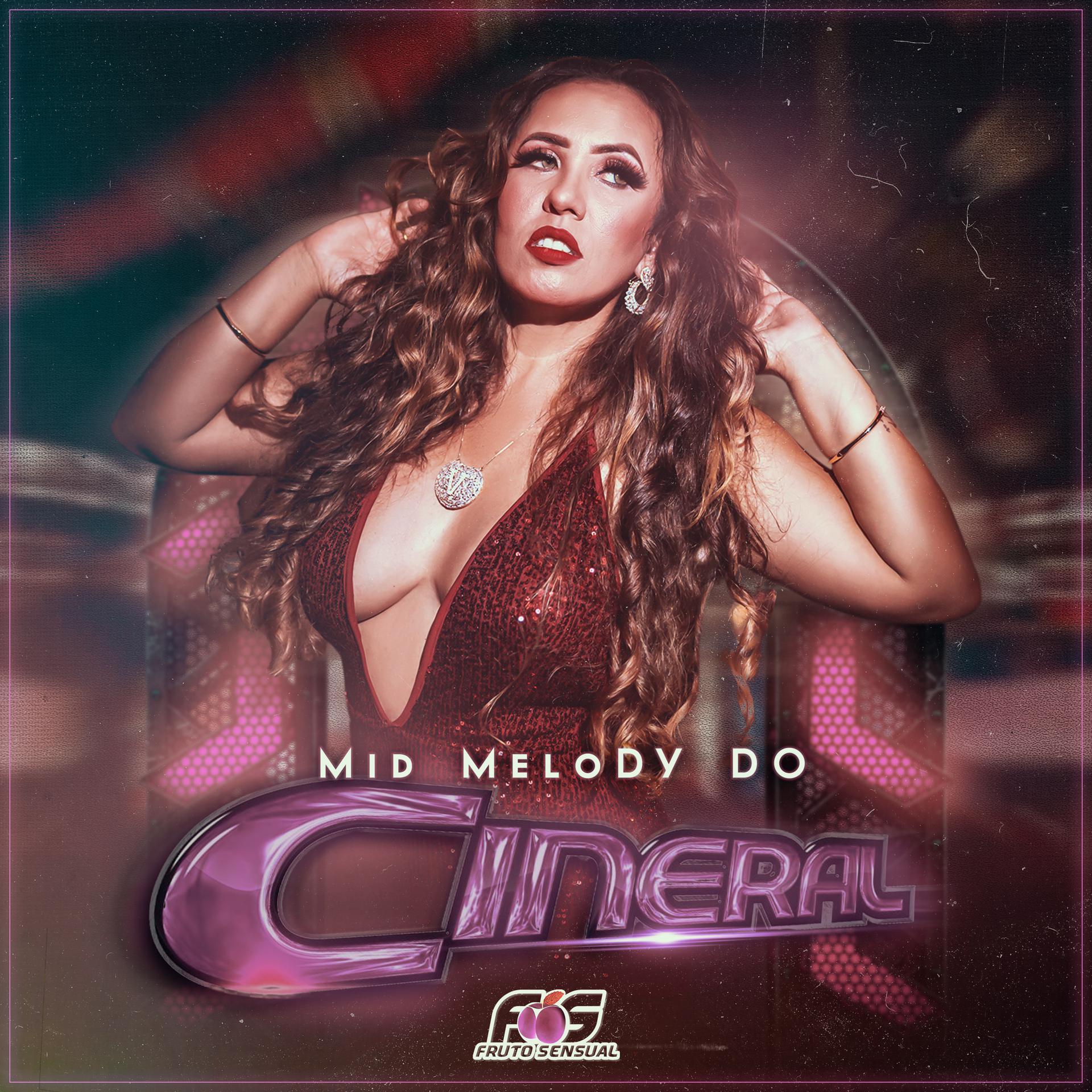 Постер альбома Mid Melody do Cineral