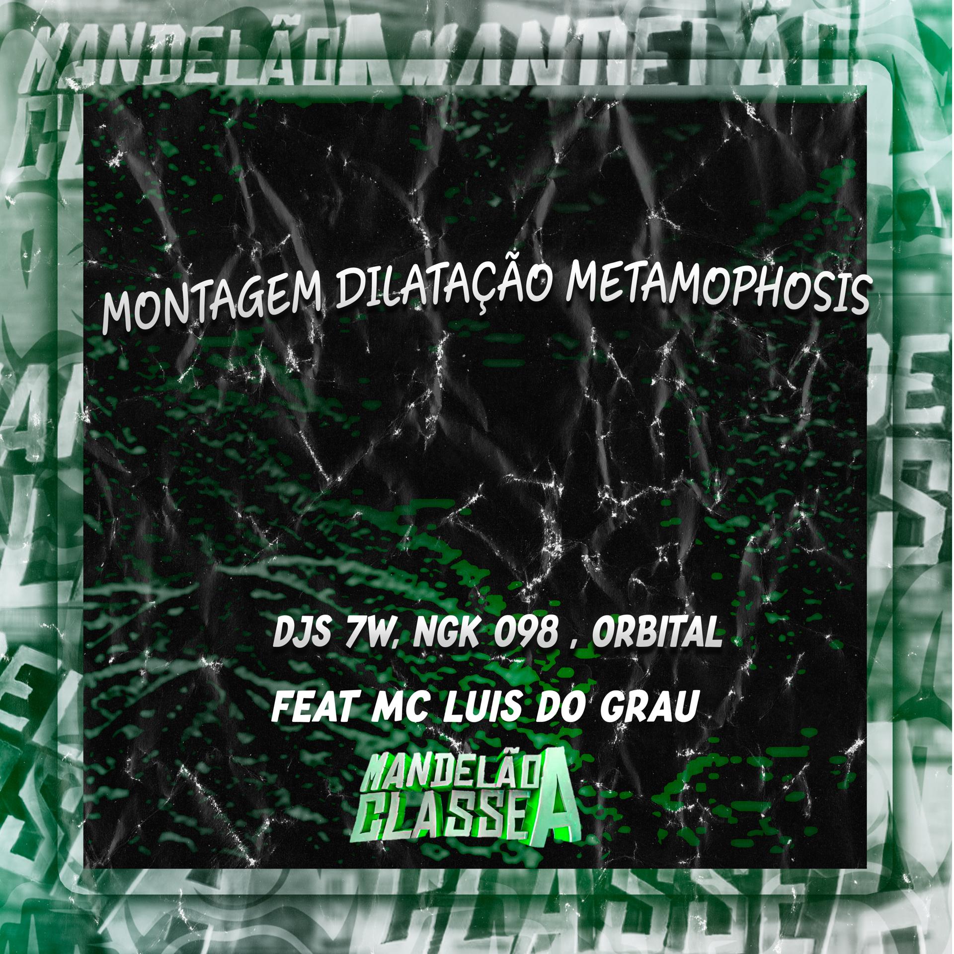 Постер альбома Montagem Dilatação Metamophosis