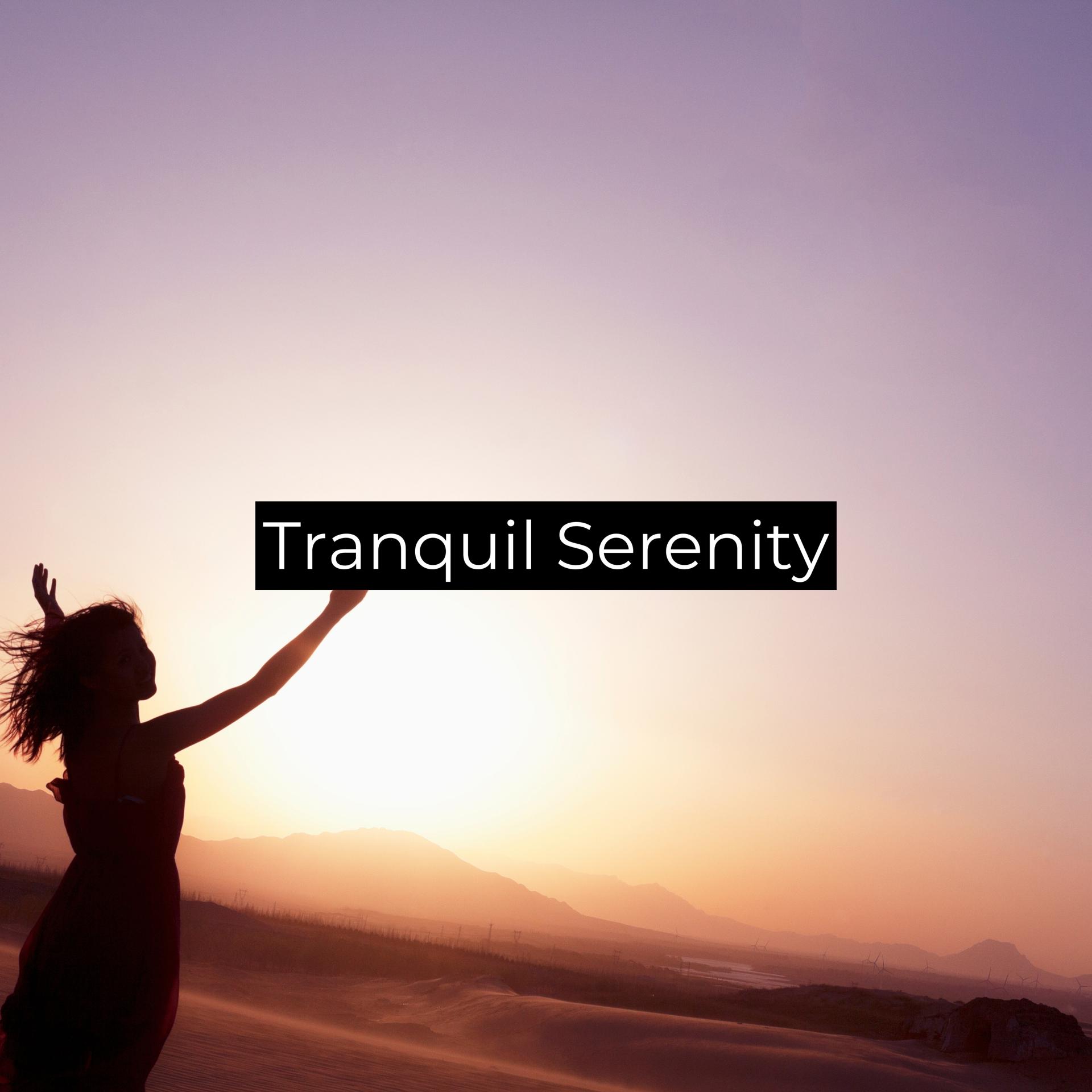 Постер альбома Tranquil Serenity