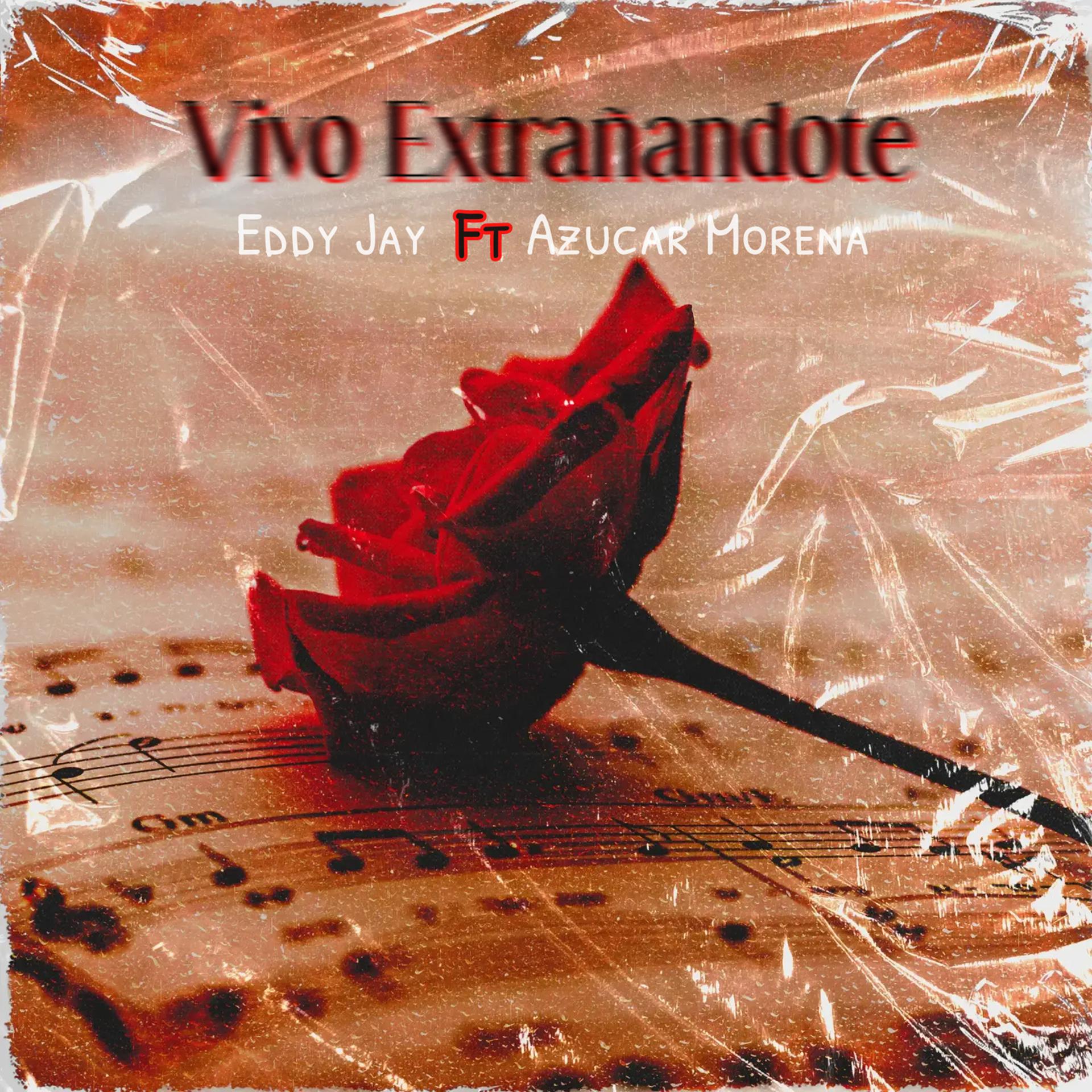 Постер альбома Vivo Extrañandote