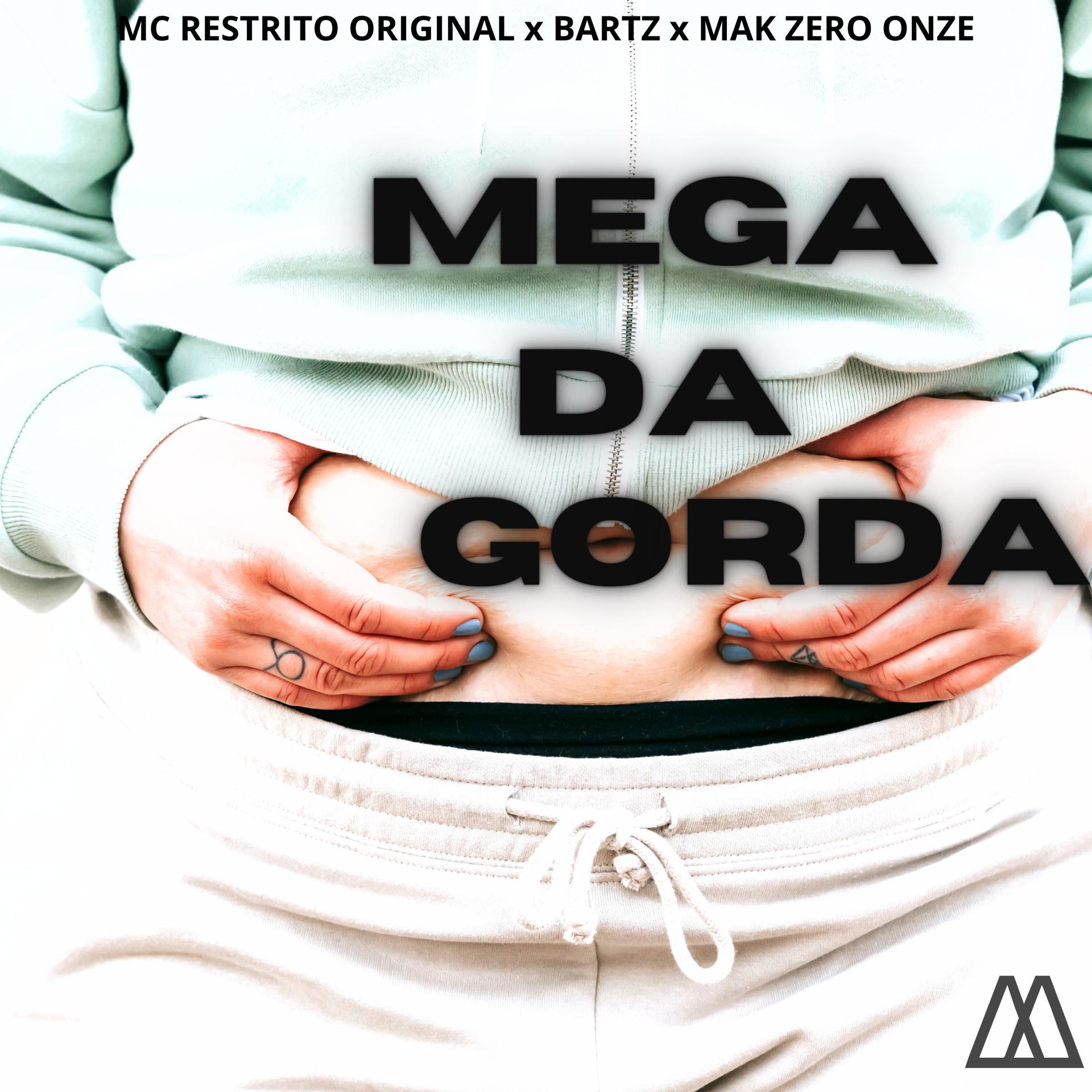 Постер альбома Mega da Gorda