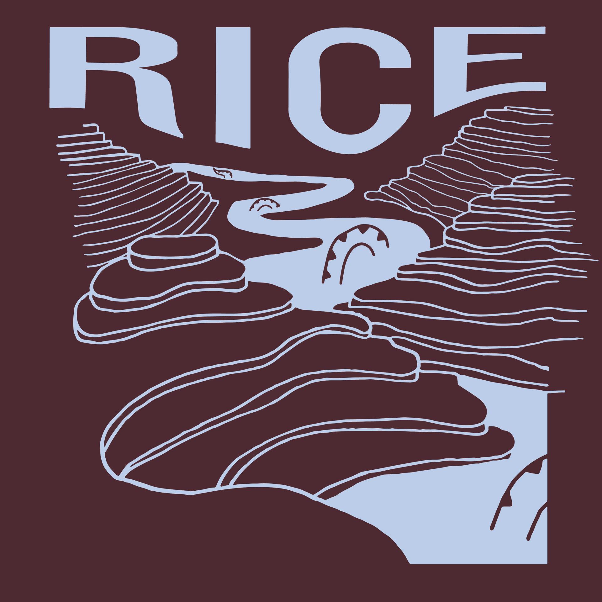 Постер альбома Rice