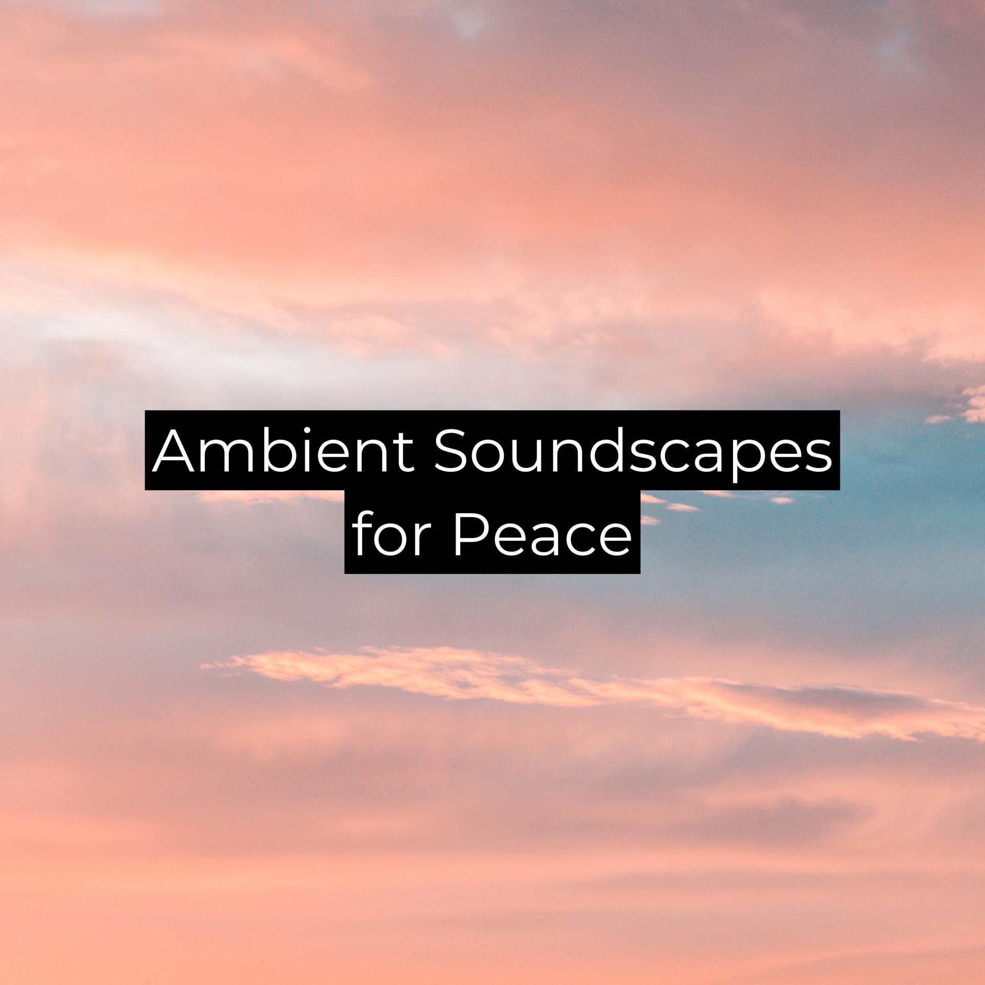 Постер альбома Ambient Soundscapes for Peace