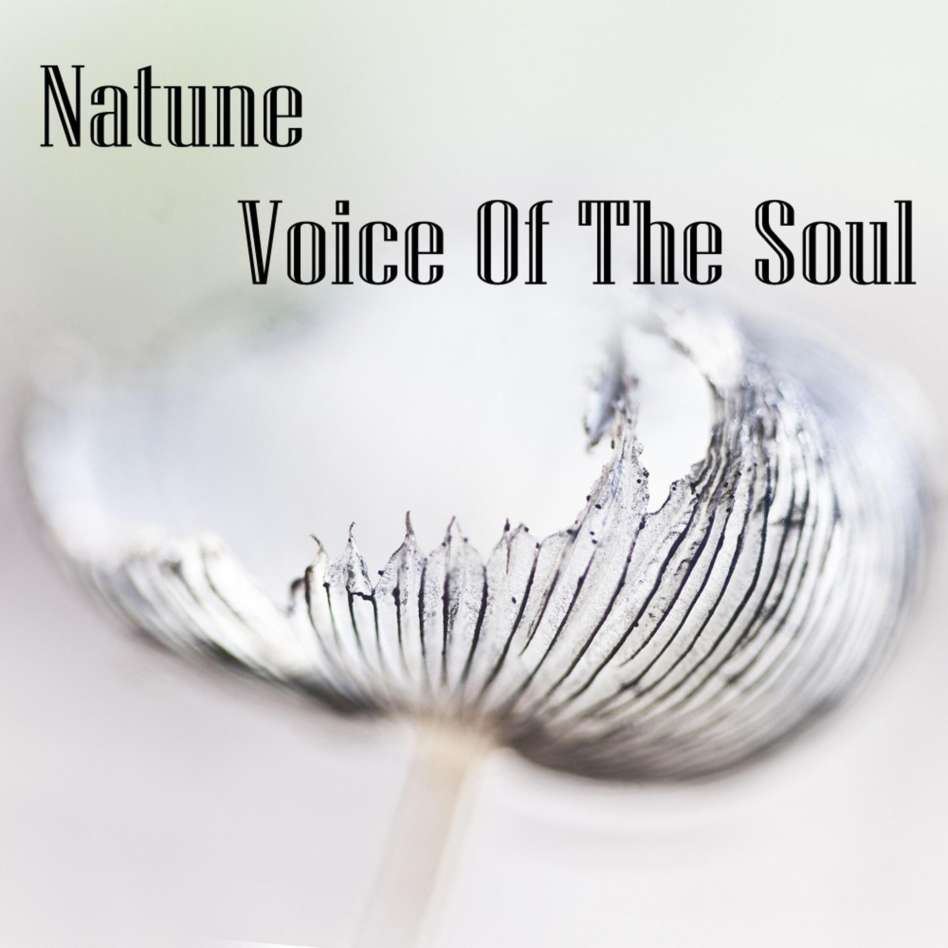 Постер альбома Voice Of The Soul