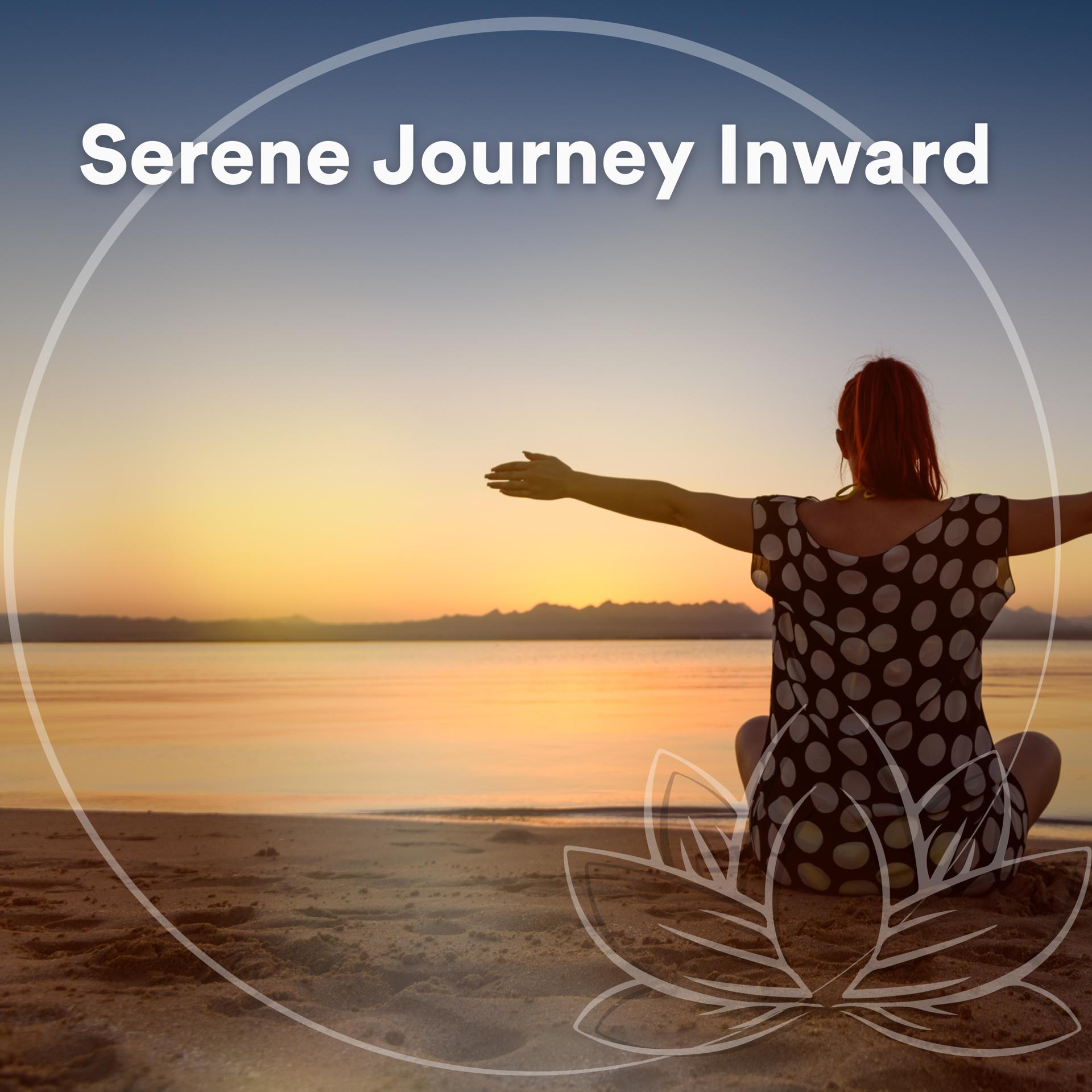 Постер альбома Serene Journey Inward