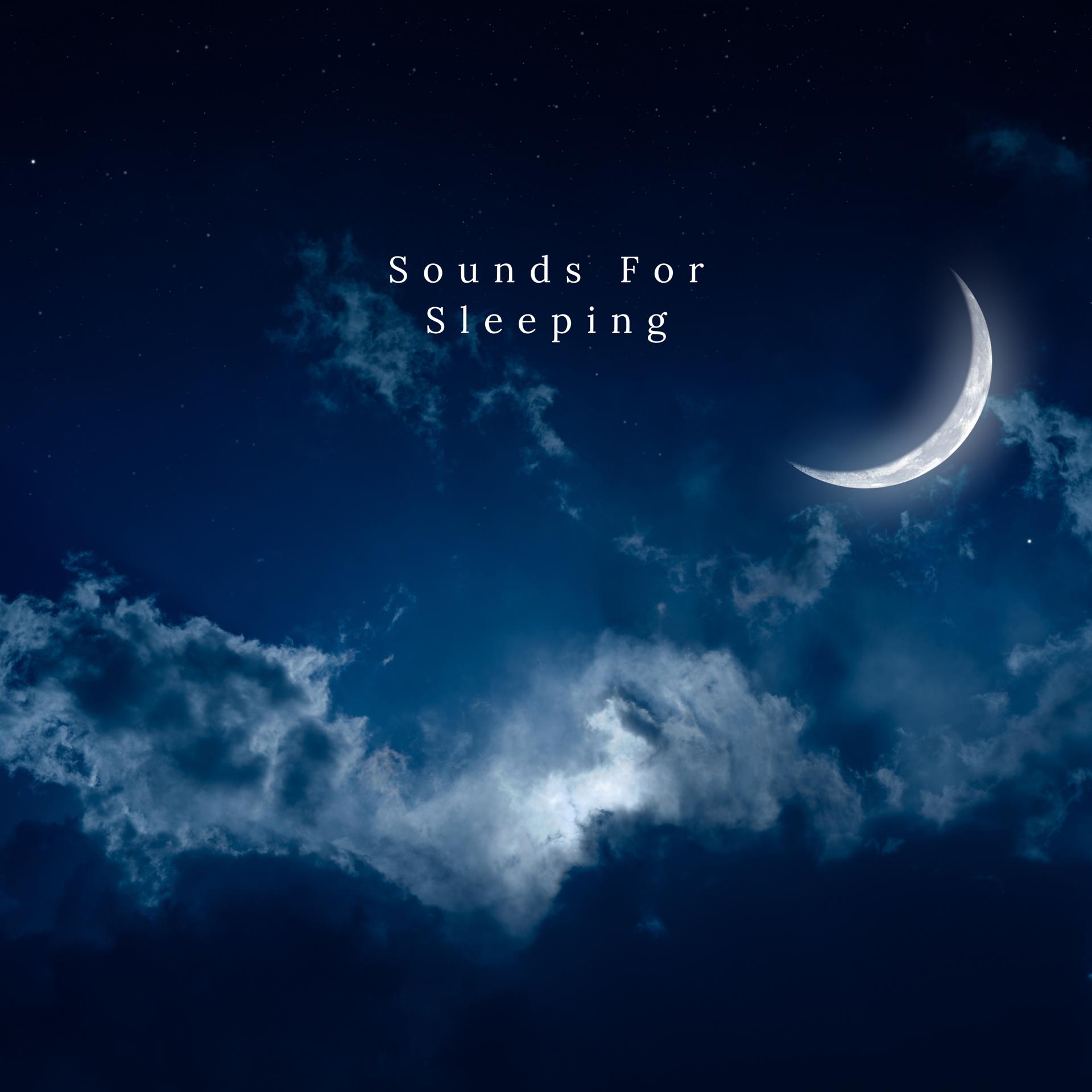 Постер альбома Sounds For Sleeping