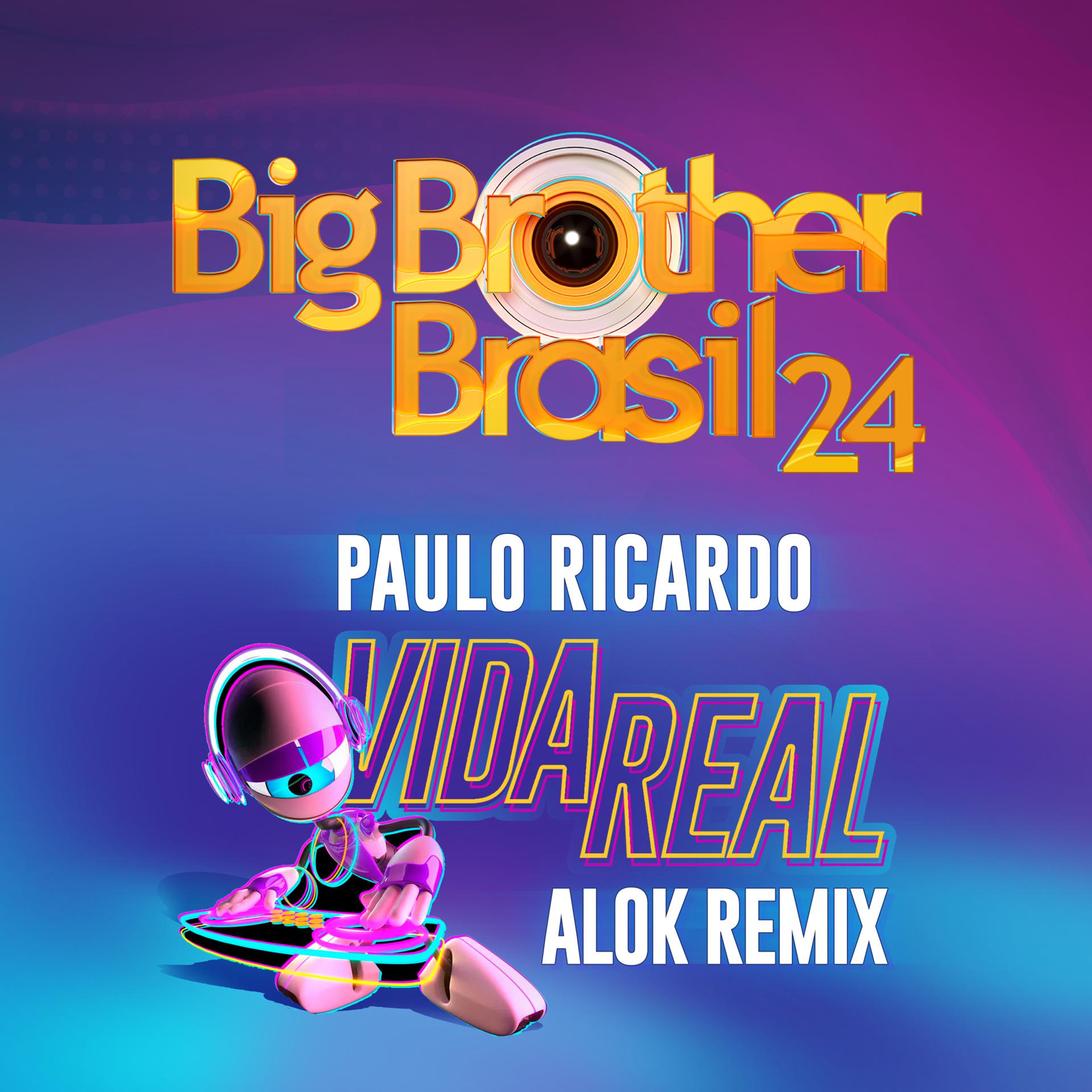 Постер альбома Vida Real 2024 (Alok Remix - TV edit)
