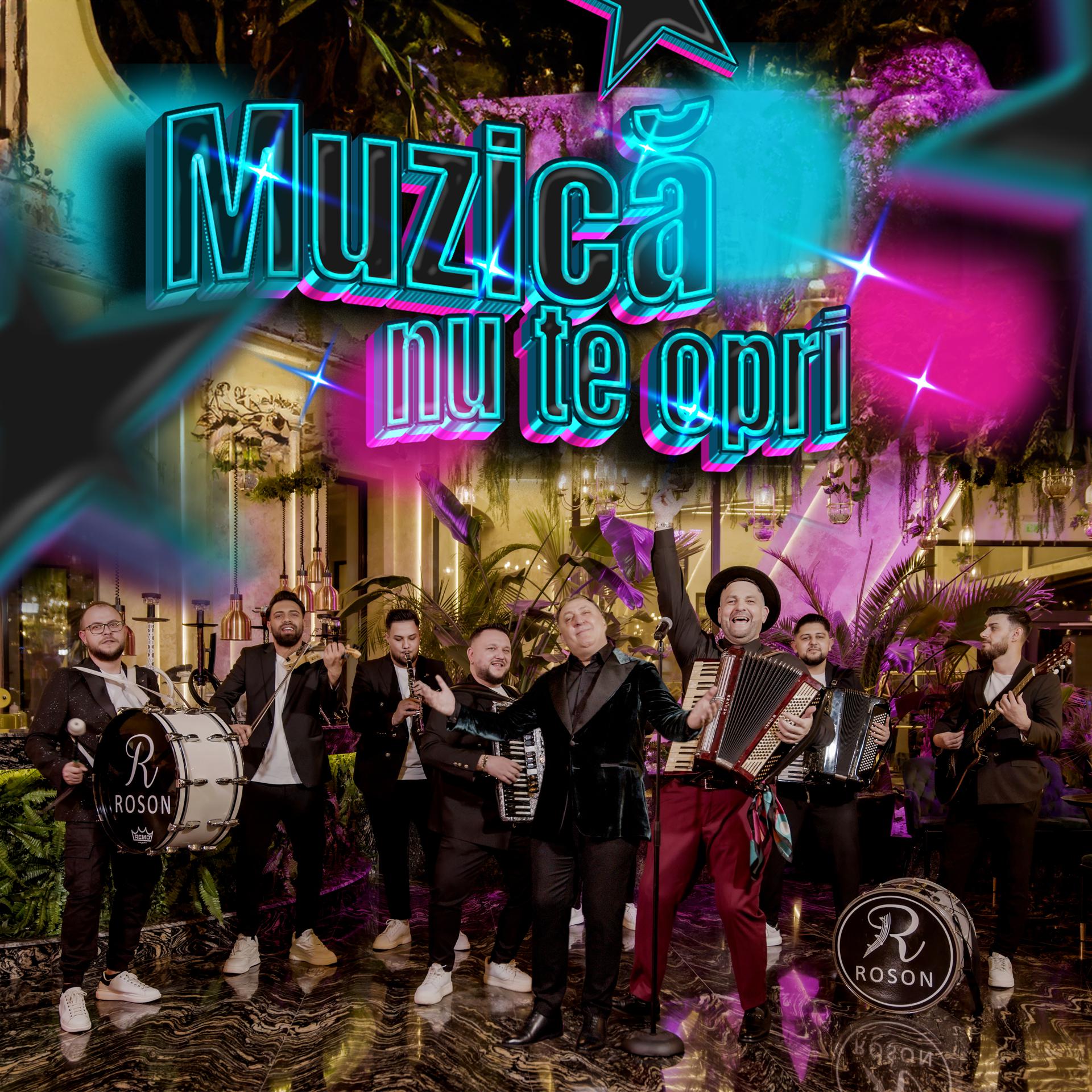 Постер альбома Muzică nu te opri