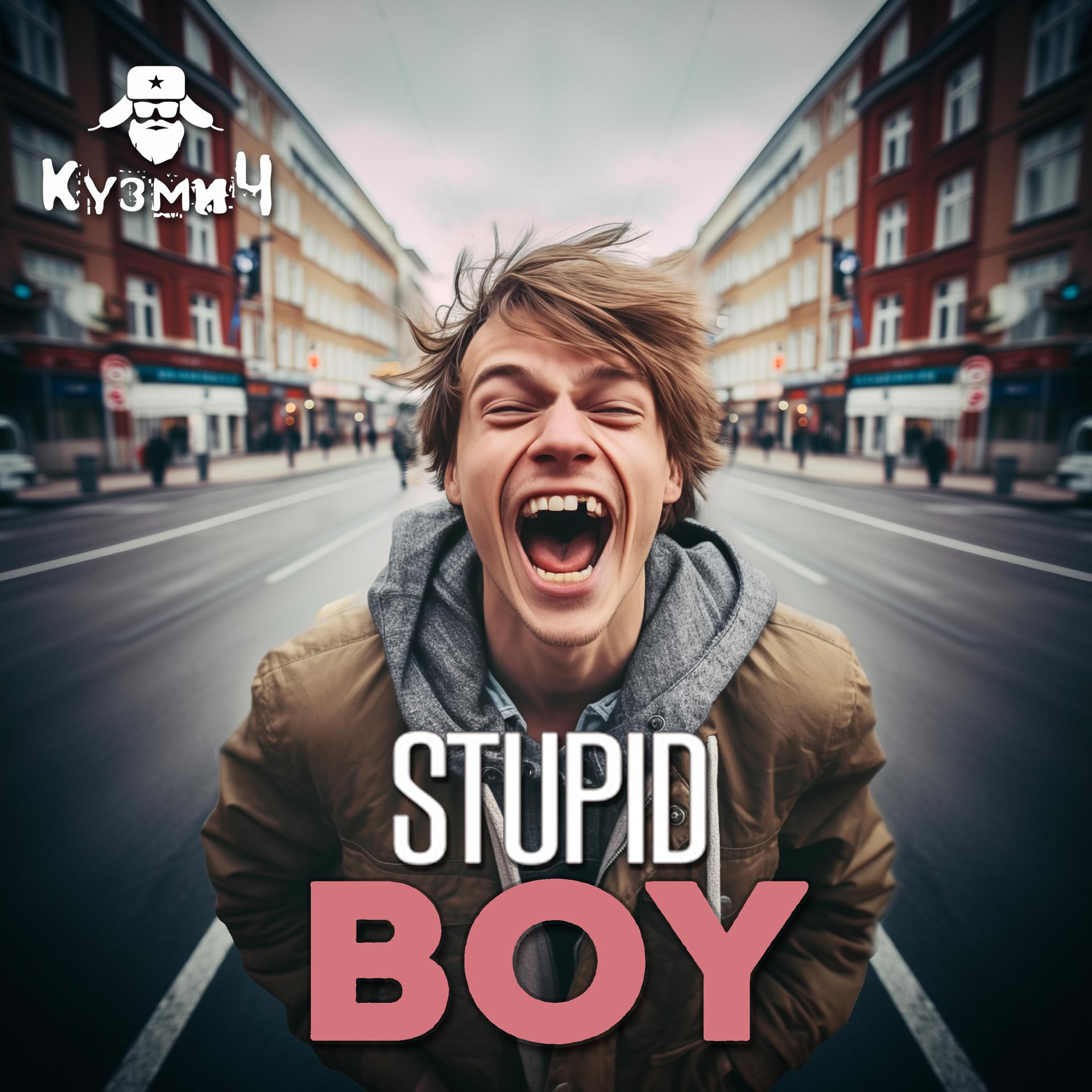 Постер альбома Stupid Boy