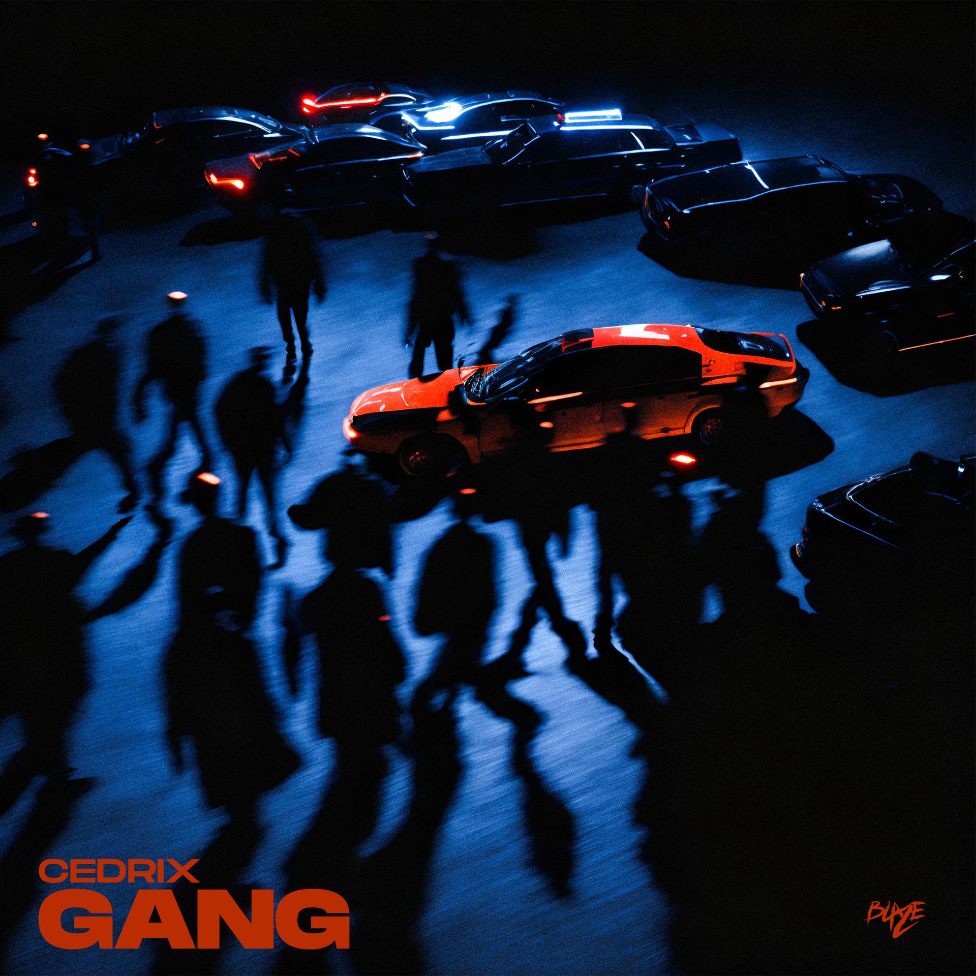 Постер альбома GANG