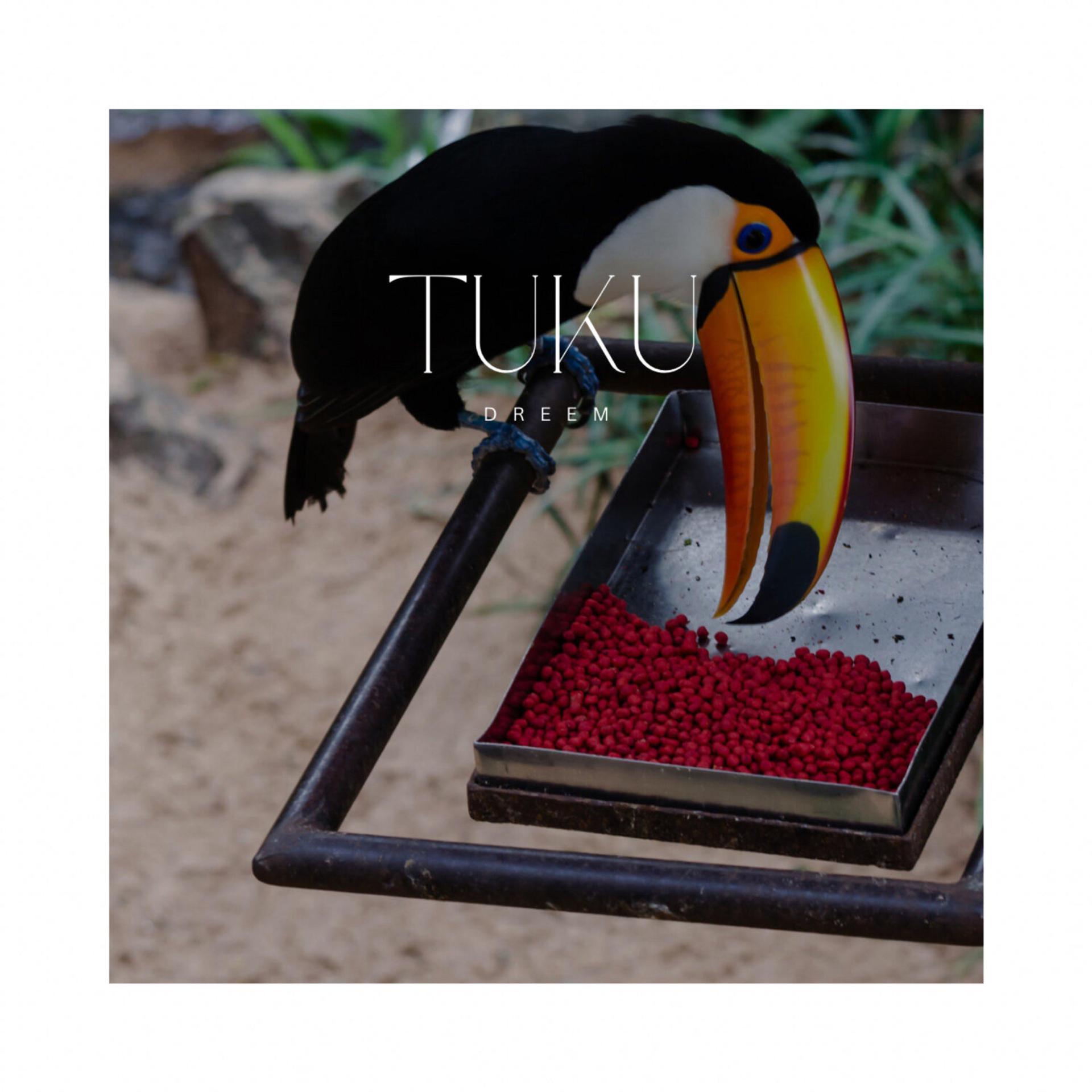 Постер альбома Tuku