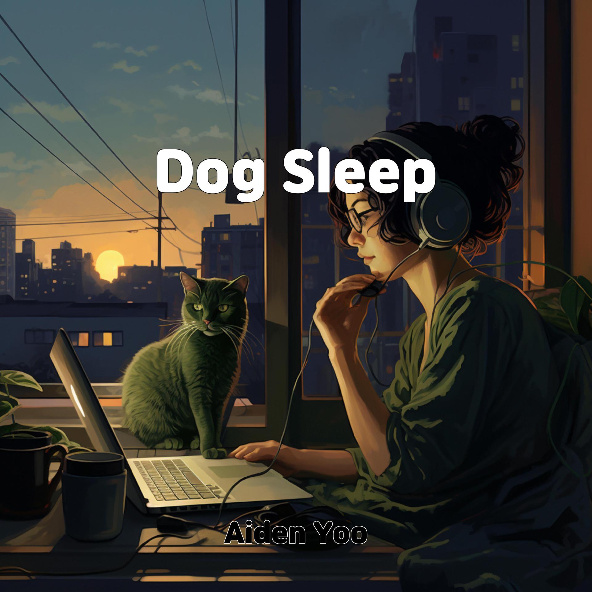 Постер альбома Dog Sleep