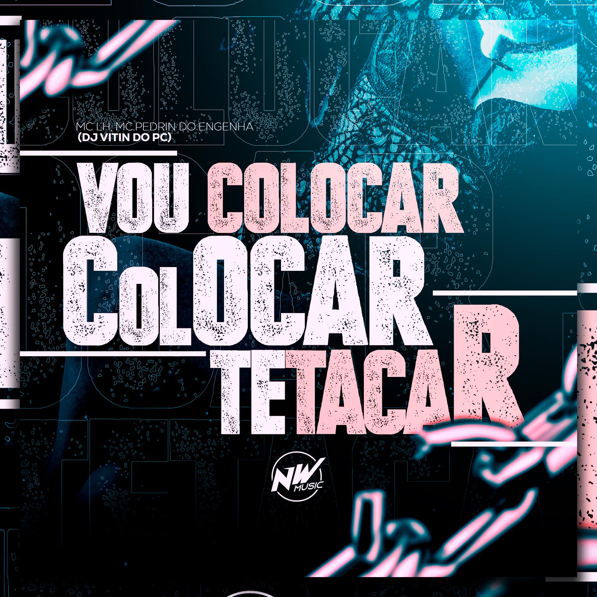 Постер альбома Vou Colocar, Colocar Te Tacar