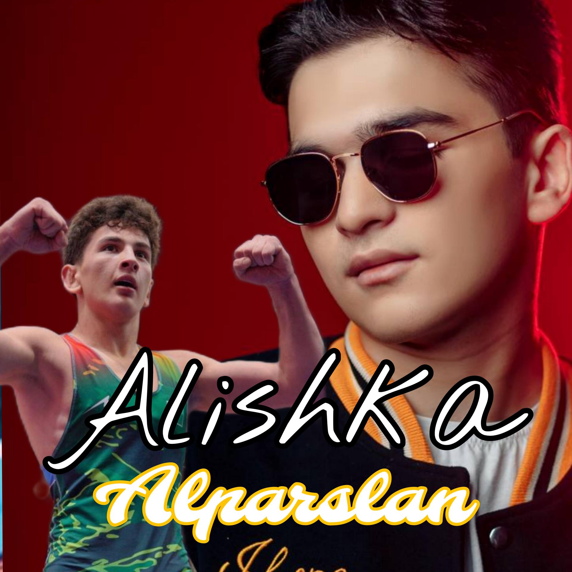 Постер альбома Alparslan