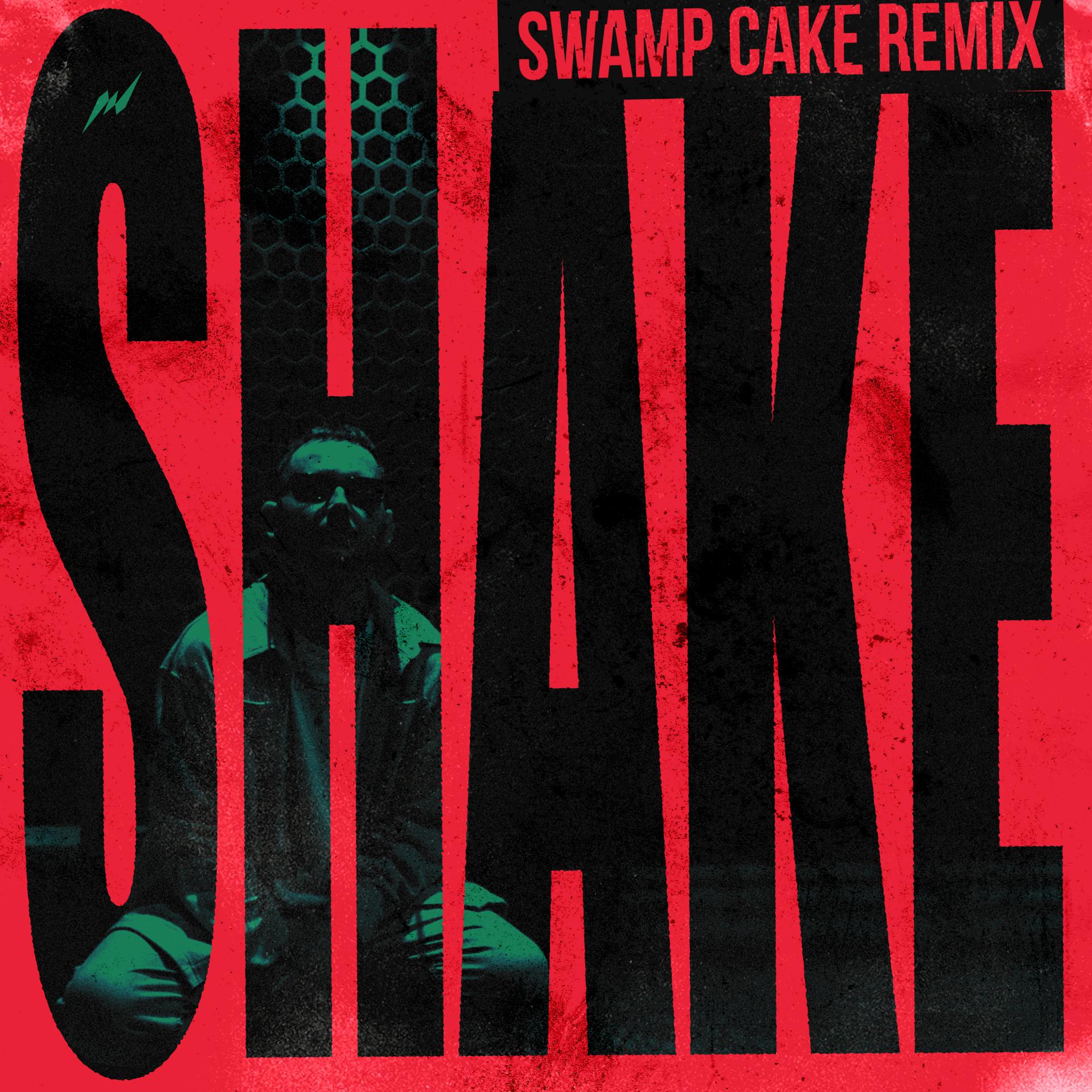 Постер альбома Shake (Swamp Cake Remix)
