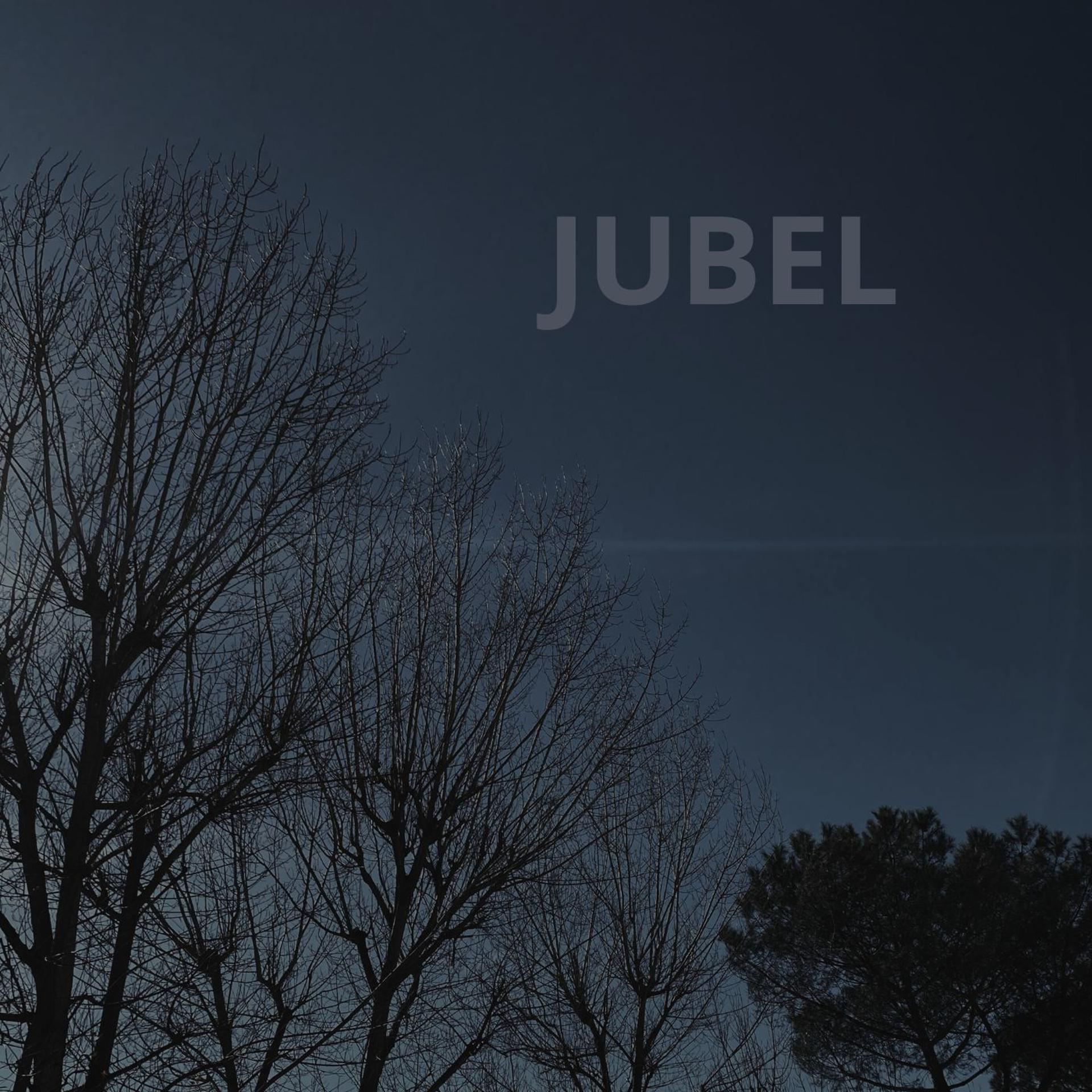 Постер альбома Jubel