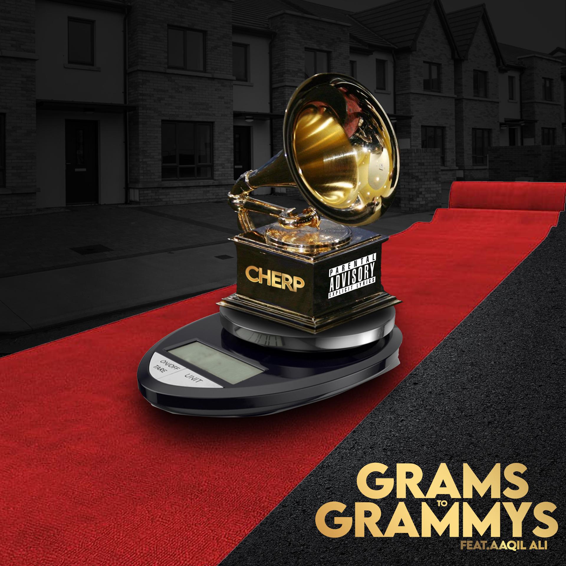 Постер альбома Grams to Grammys (feat. Aaqil Ali)