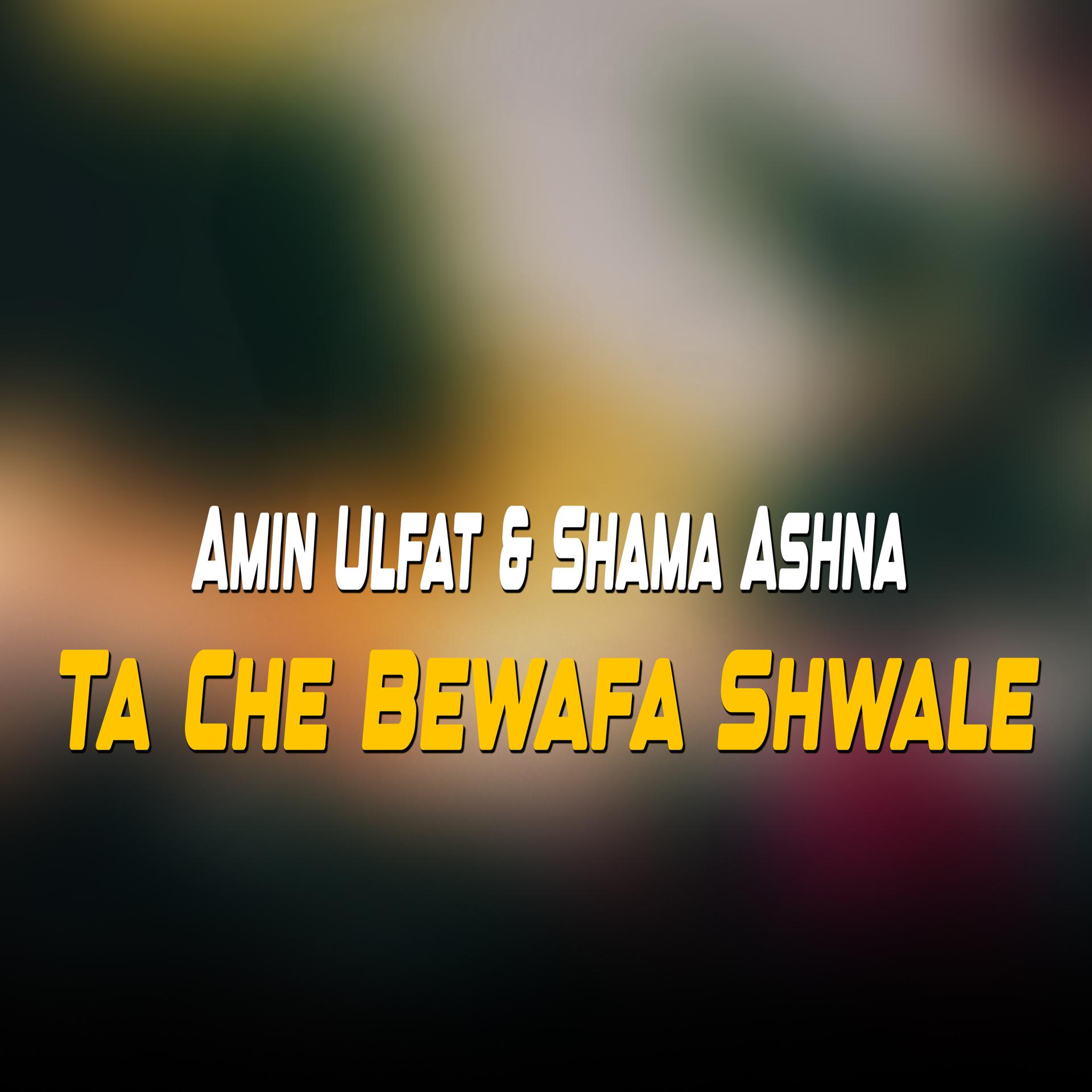 Постер альбома Ta Che Bewafa Shwale