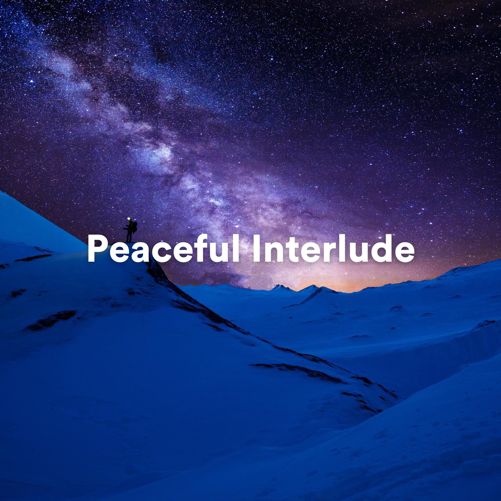 Постер альбома Peaceful Interlude