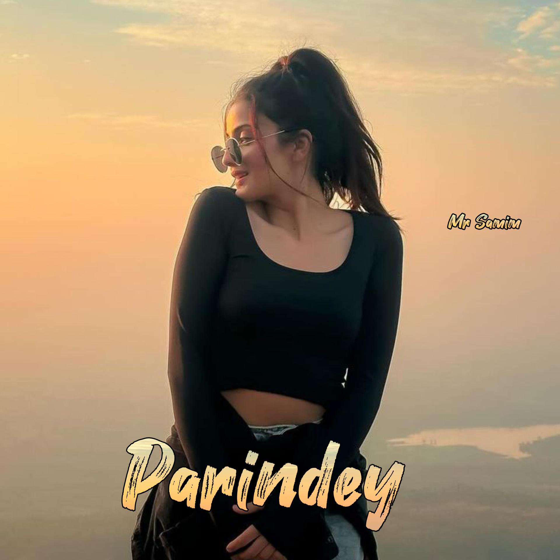 Постер альбома Parindey