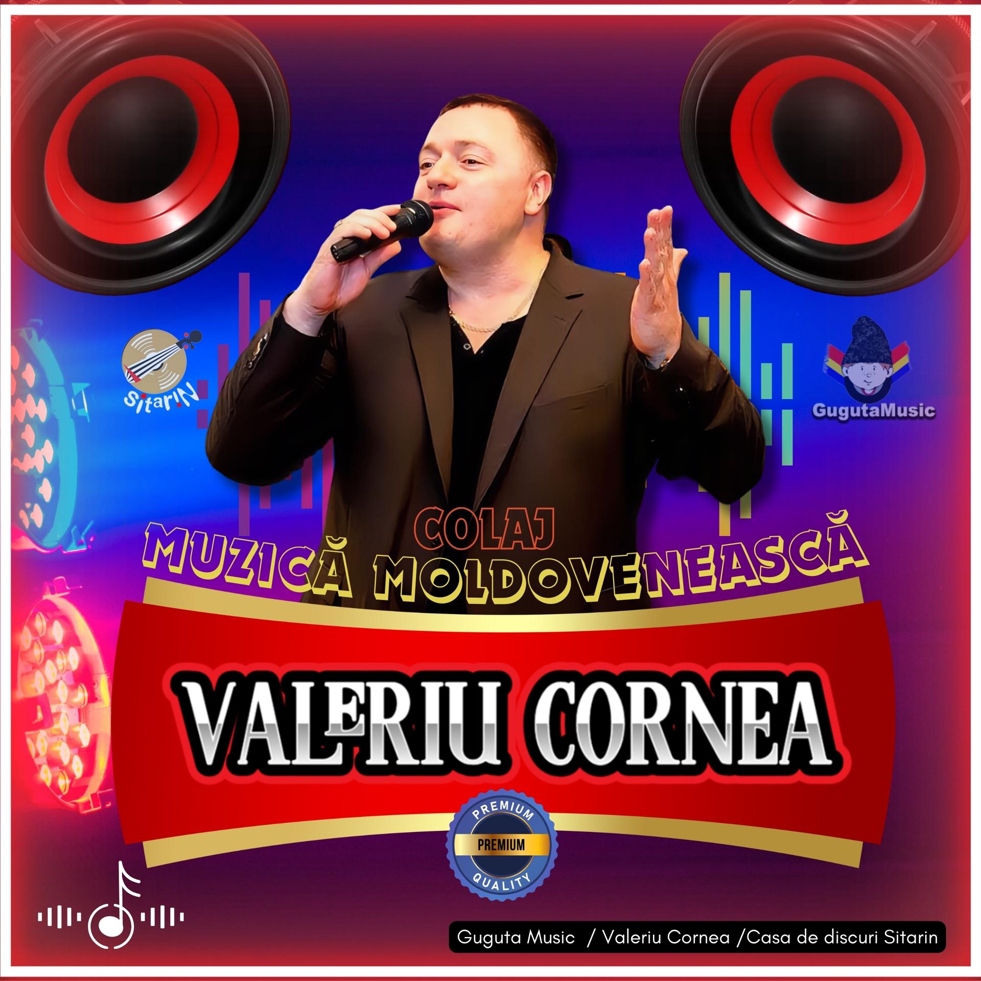 Постер альбома Valeriu Cornea / Colaj / Muzică Moldovenească