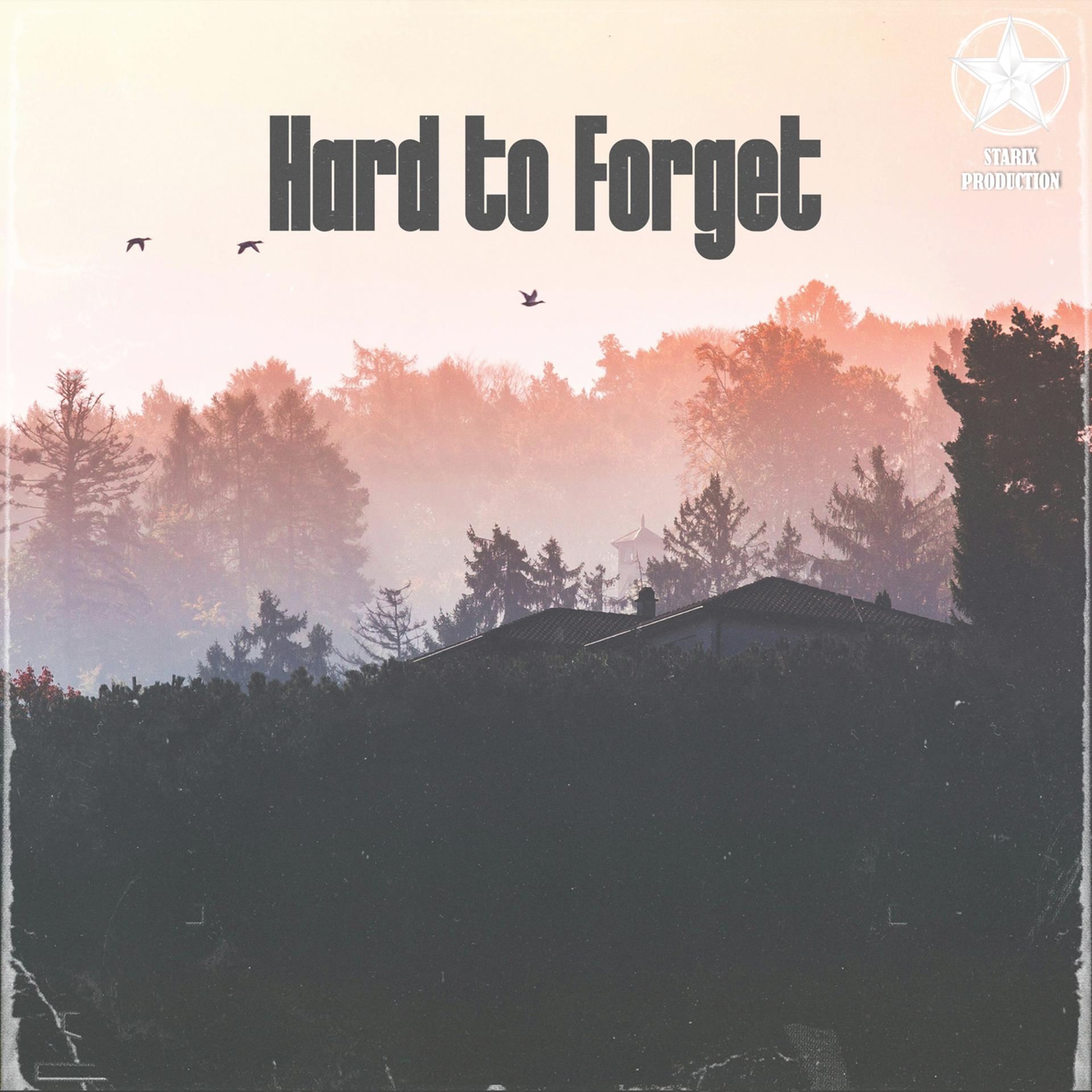Постер альбома Hard to Forget