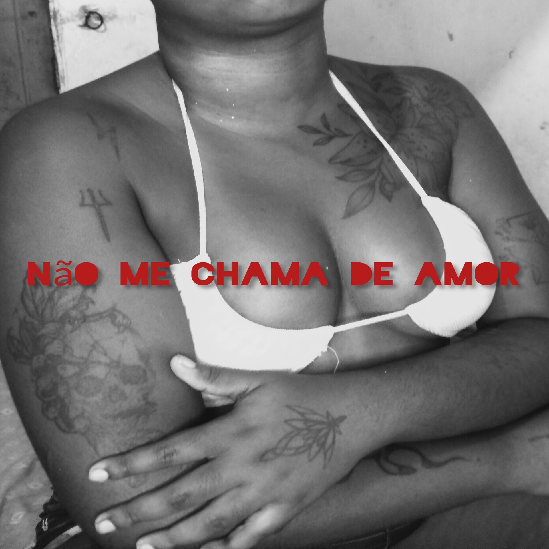 Постер альбома Não Me Chama de Amor