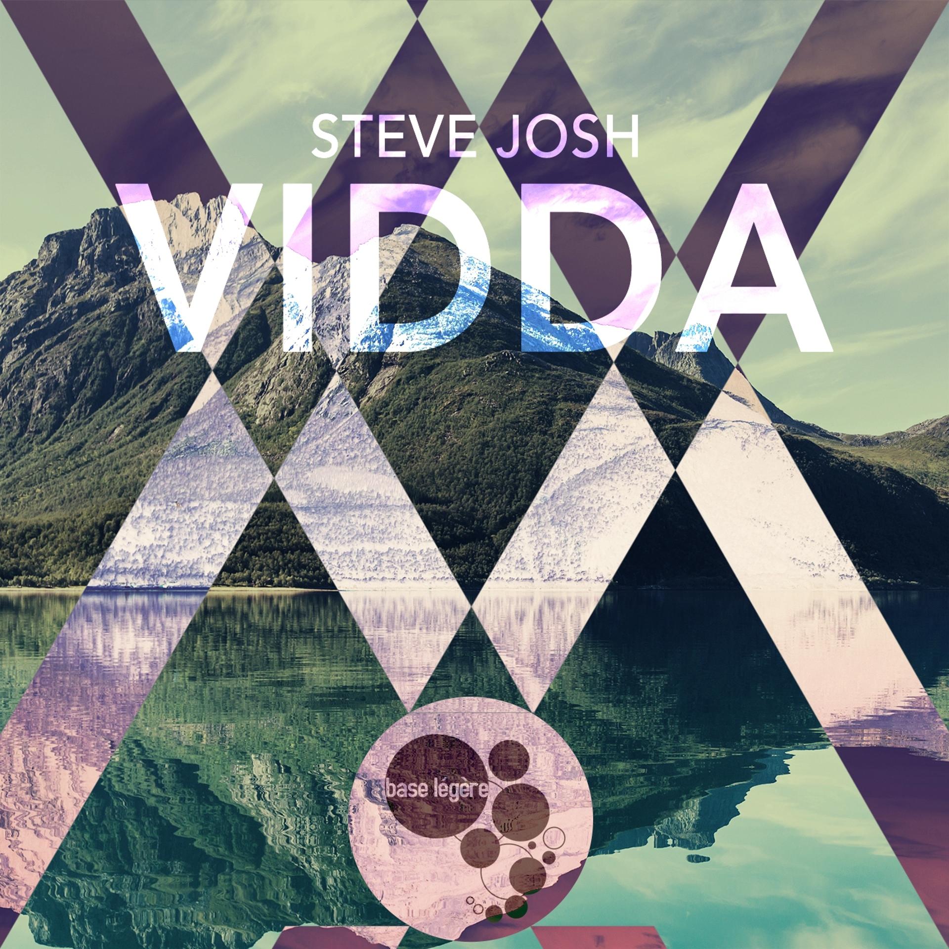 Постер альбома Vidda