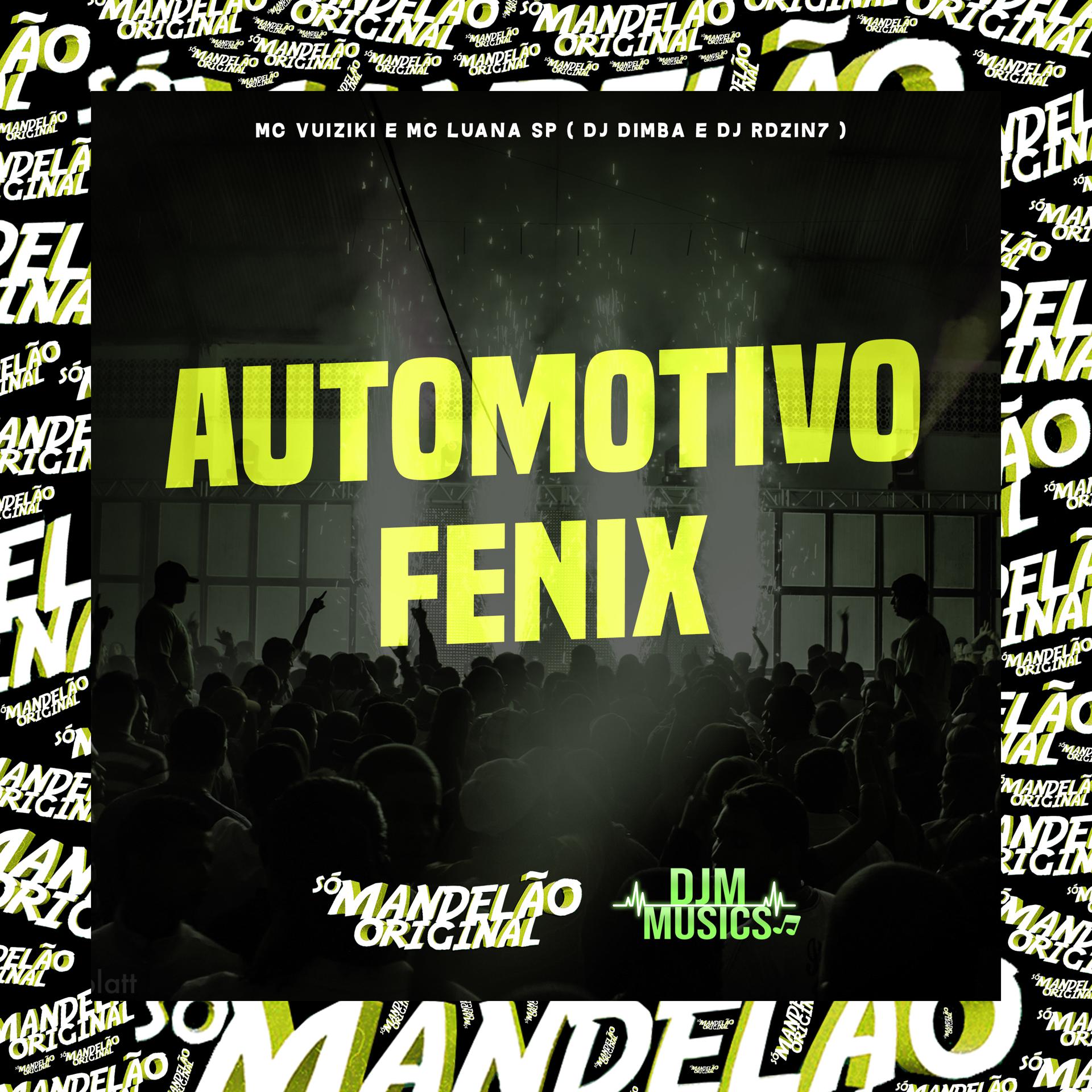 Постер альбома Automotivo Fenix
