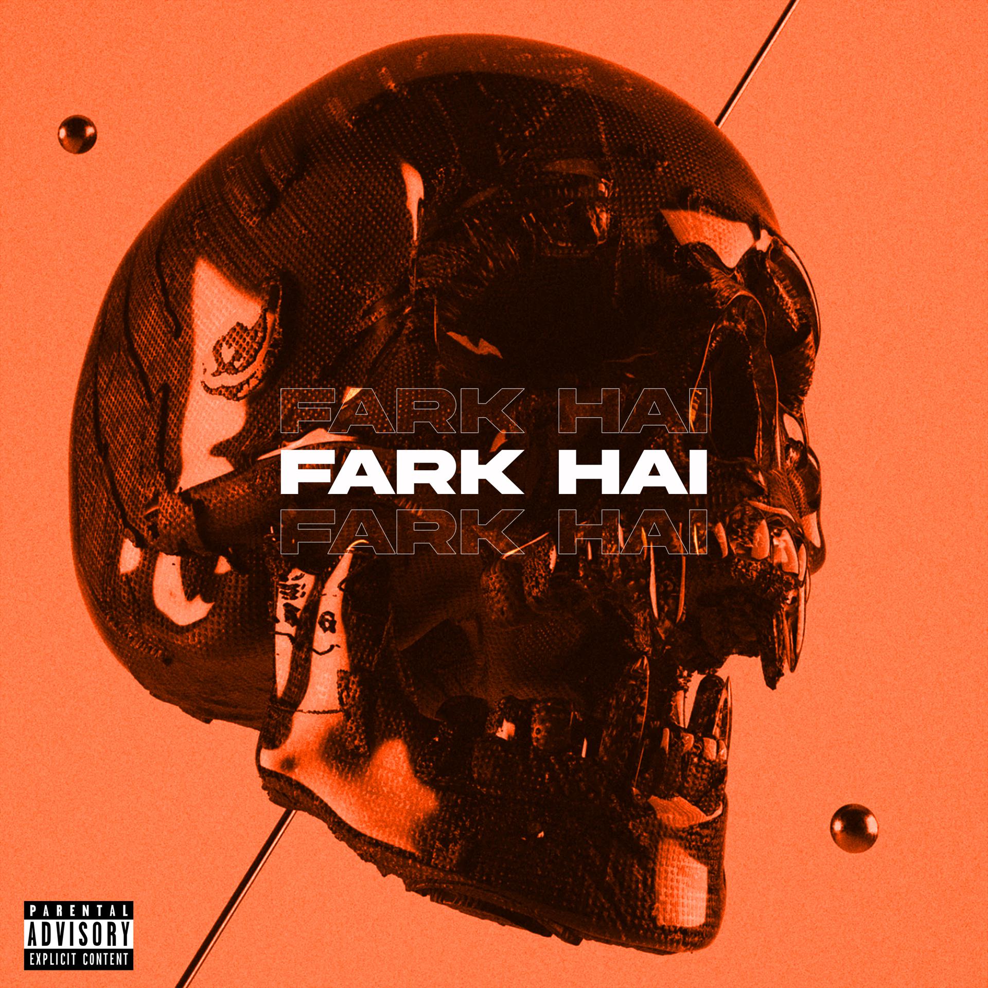Постер альбома Fark Hai