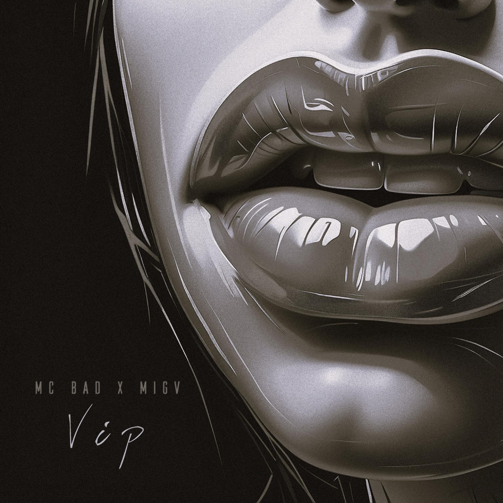 Постер альбома Vip