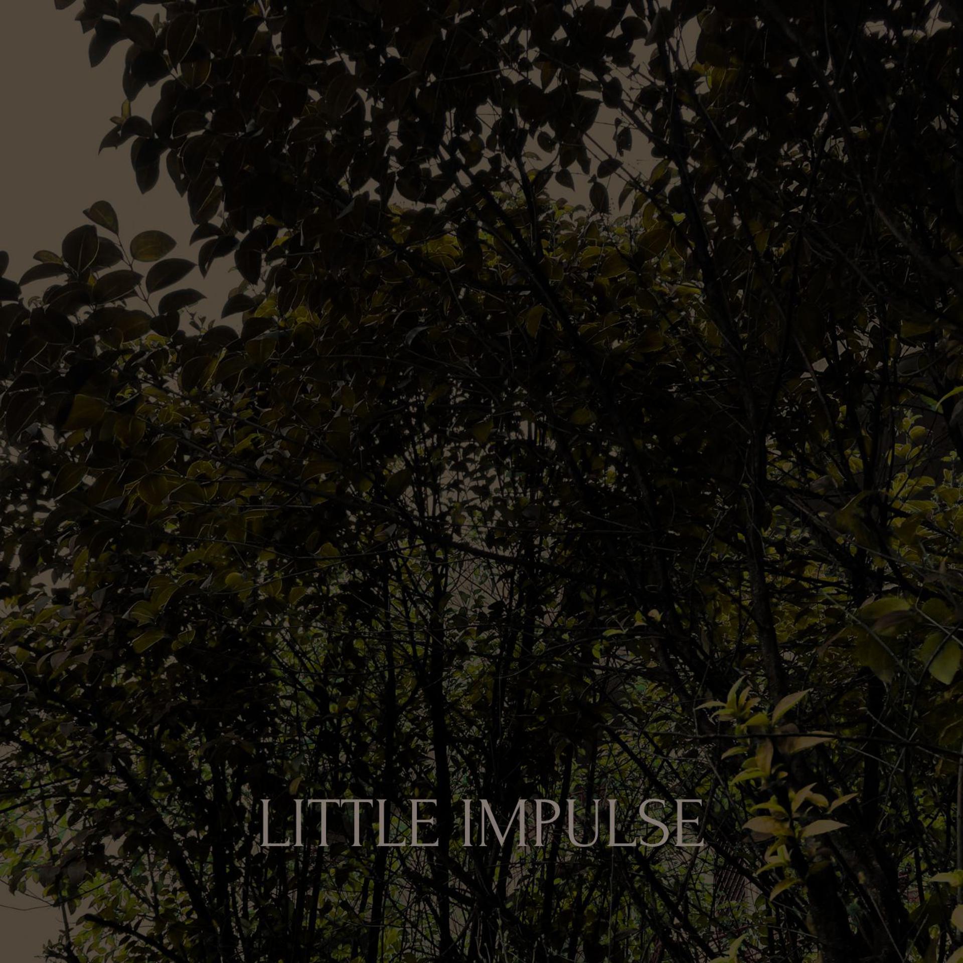 Постер альбома Little Impulse