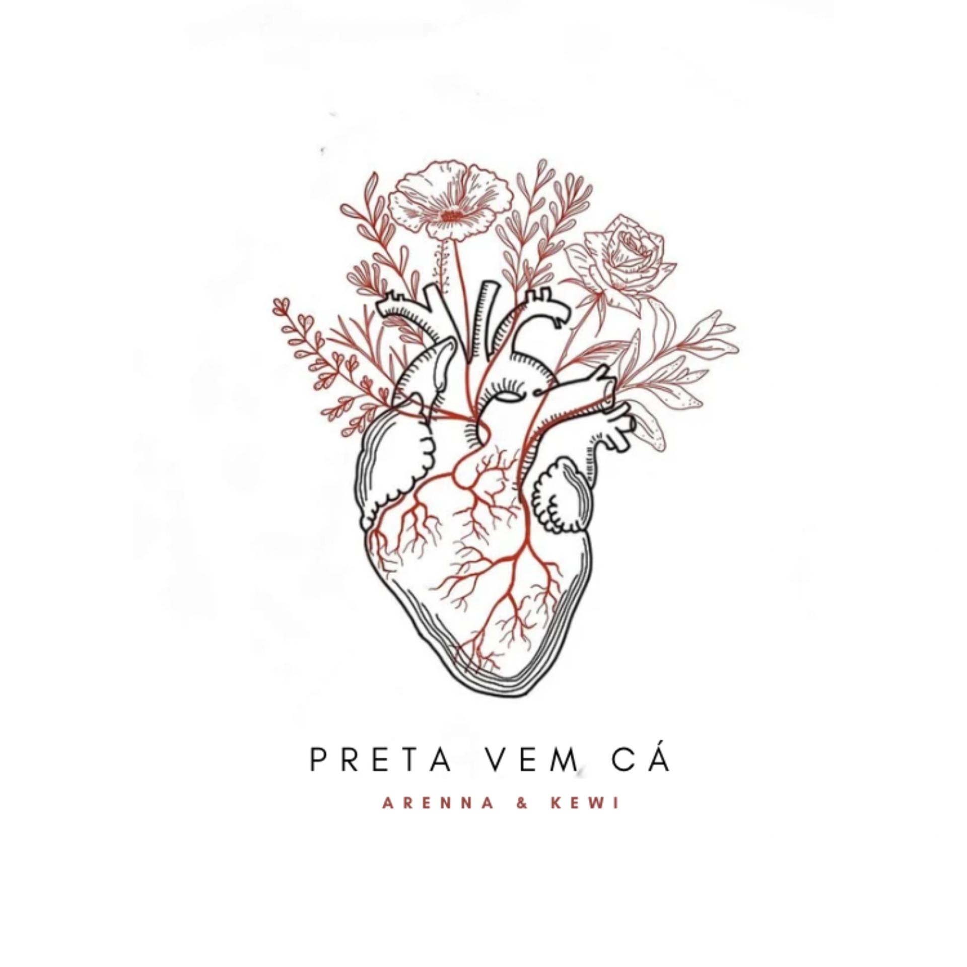 Постер альбома Preta Vem Cá