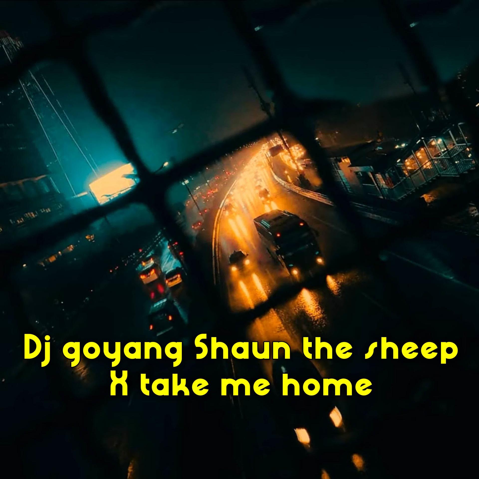 Постер альбома DJ Goyang Shaun the Sheep x Take Me Home -inst