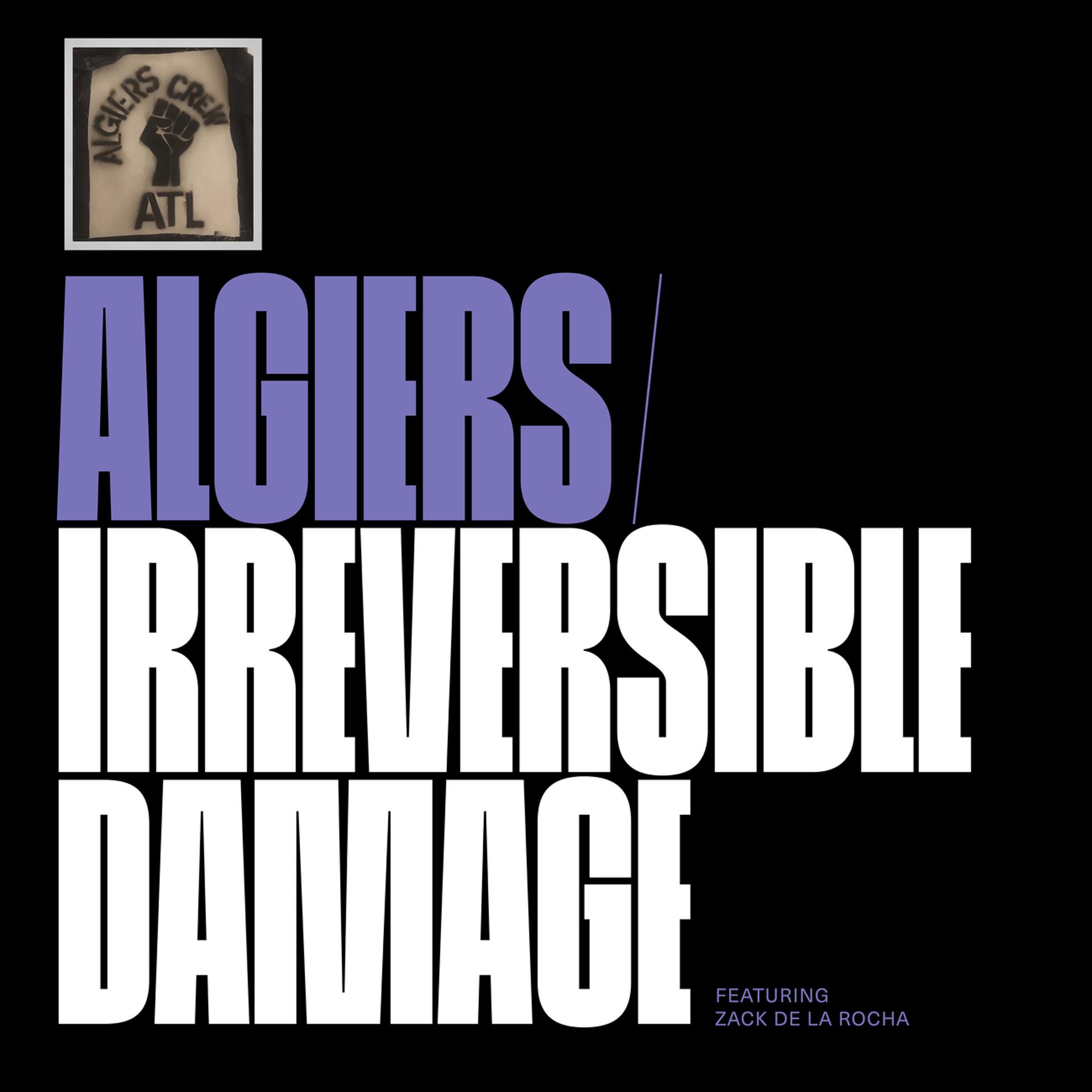 Постер альбома Irreversible Damage