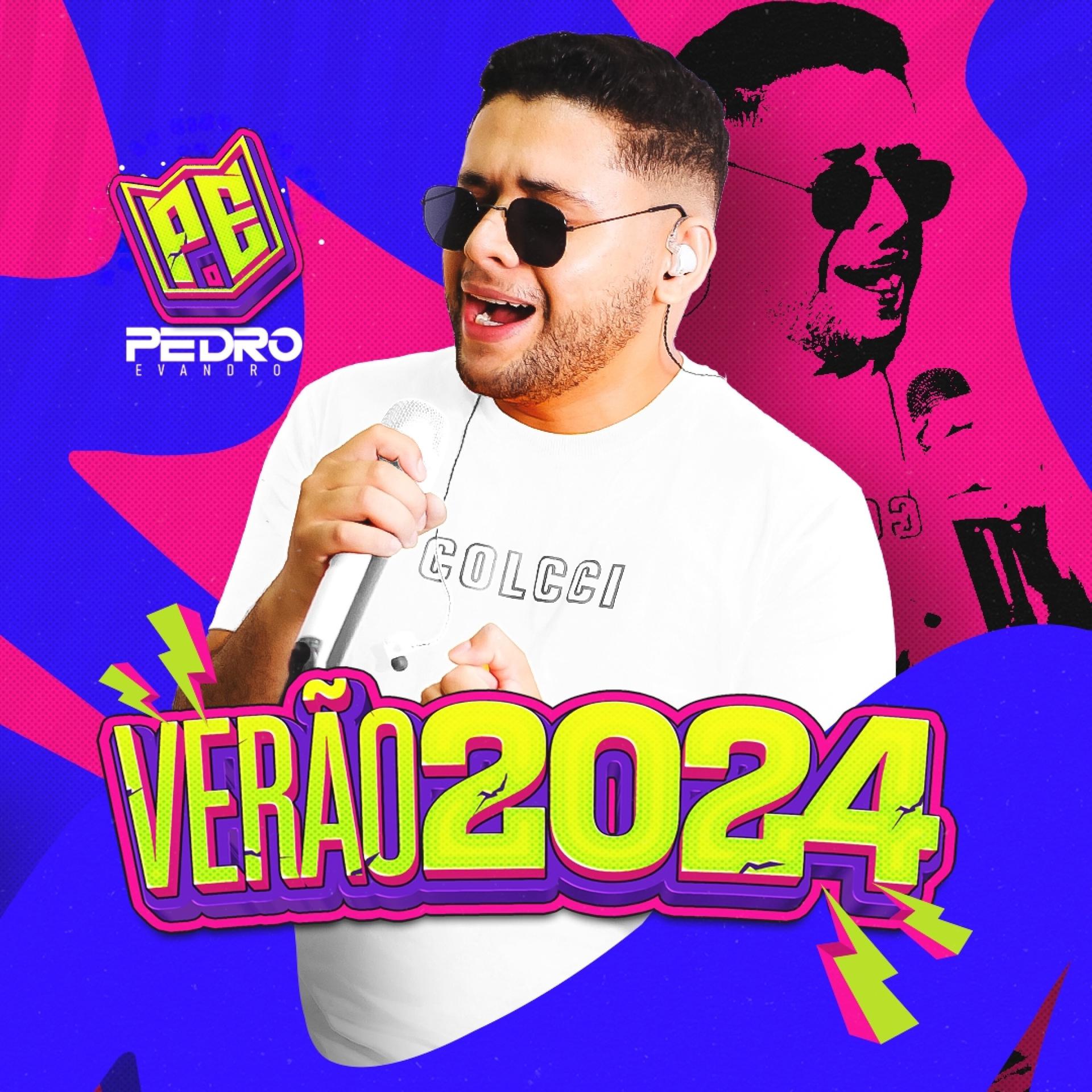 Постер альбома Verão 2024