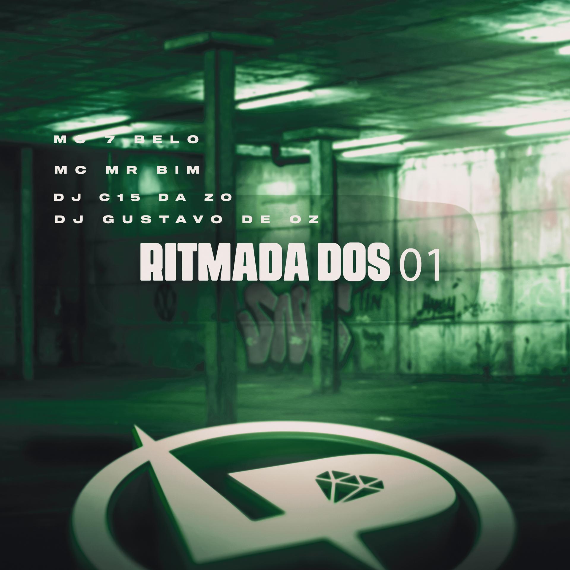 Постер альбома Ritmada dos 01
