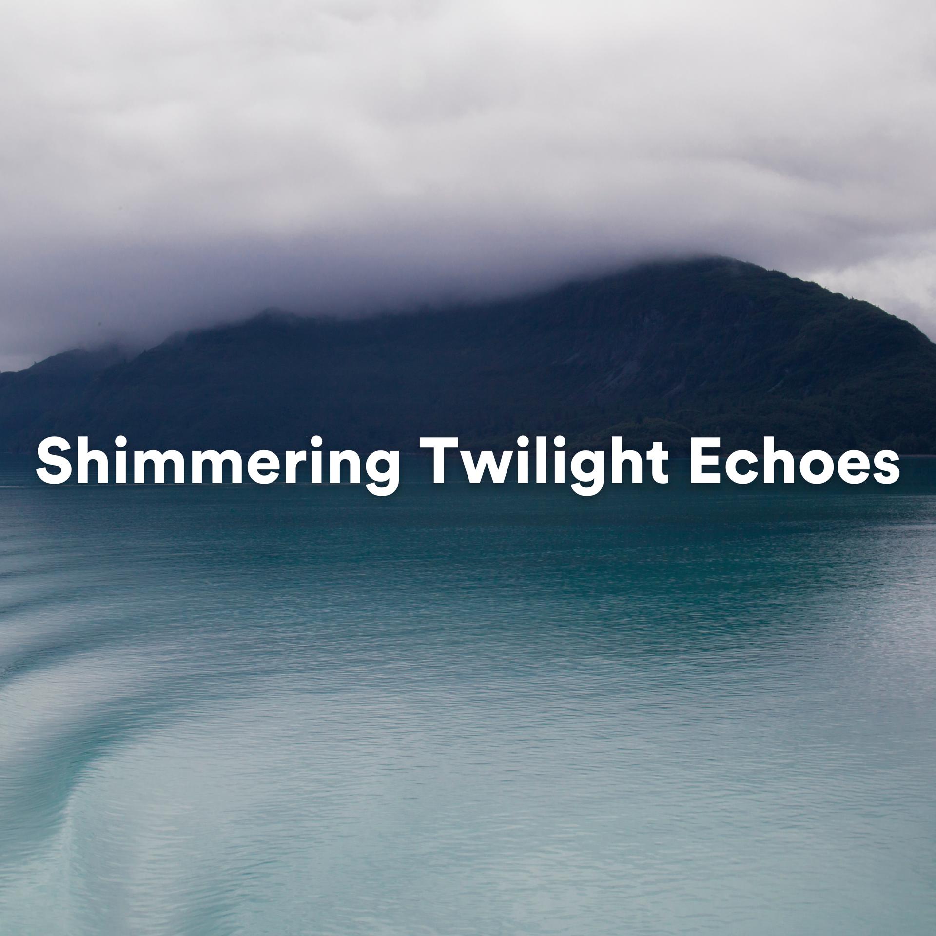 Постер альбома Shimmering Twilight Echoes