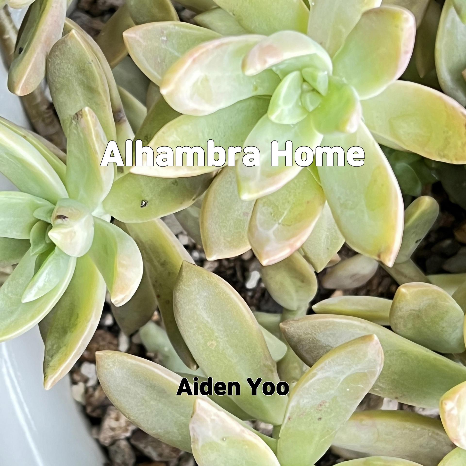 Постер альбома Alhambra Home