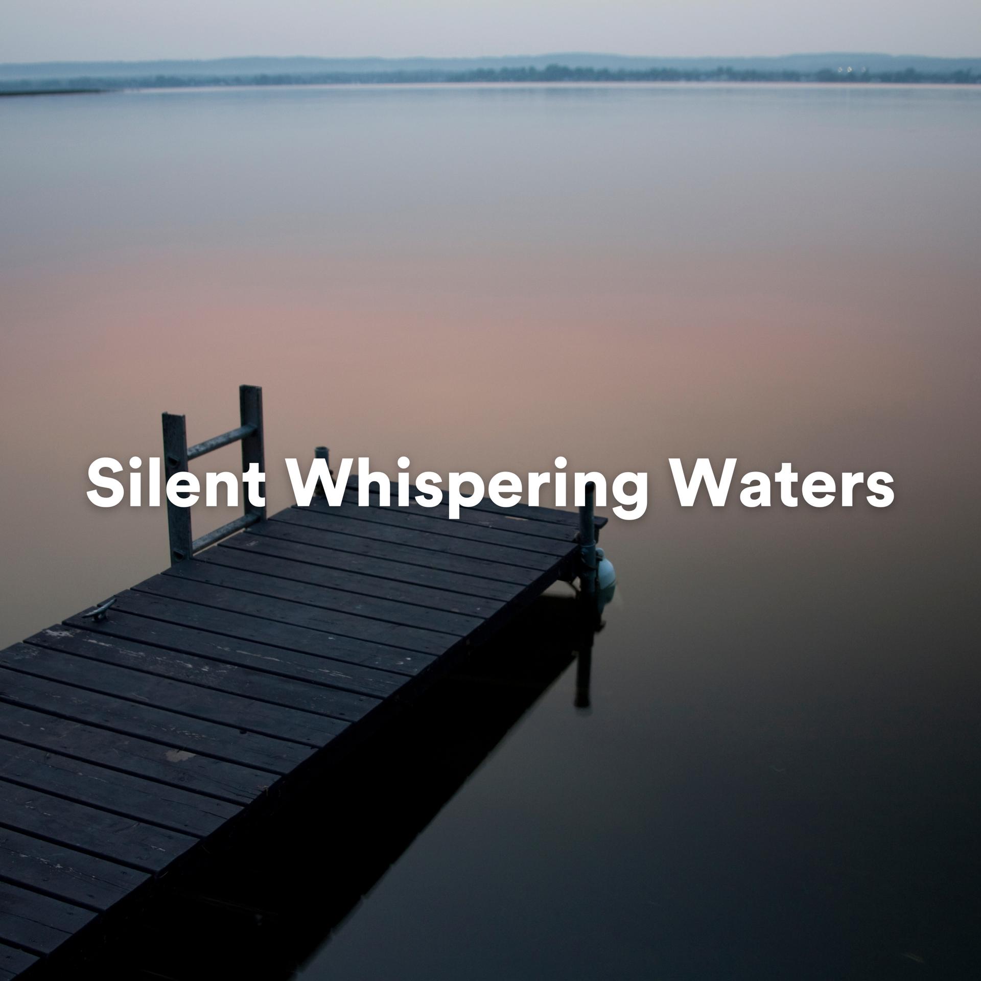 Постер альбома Silent Whispering Waters