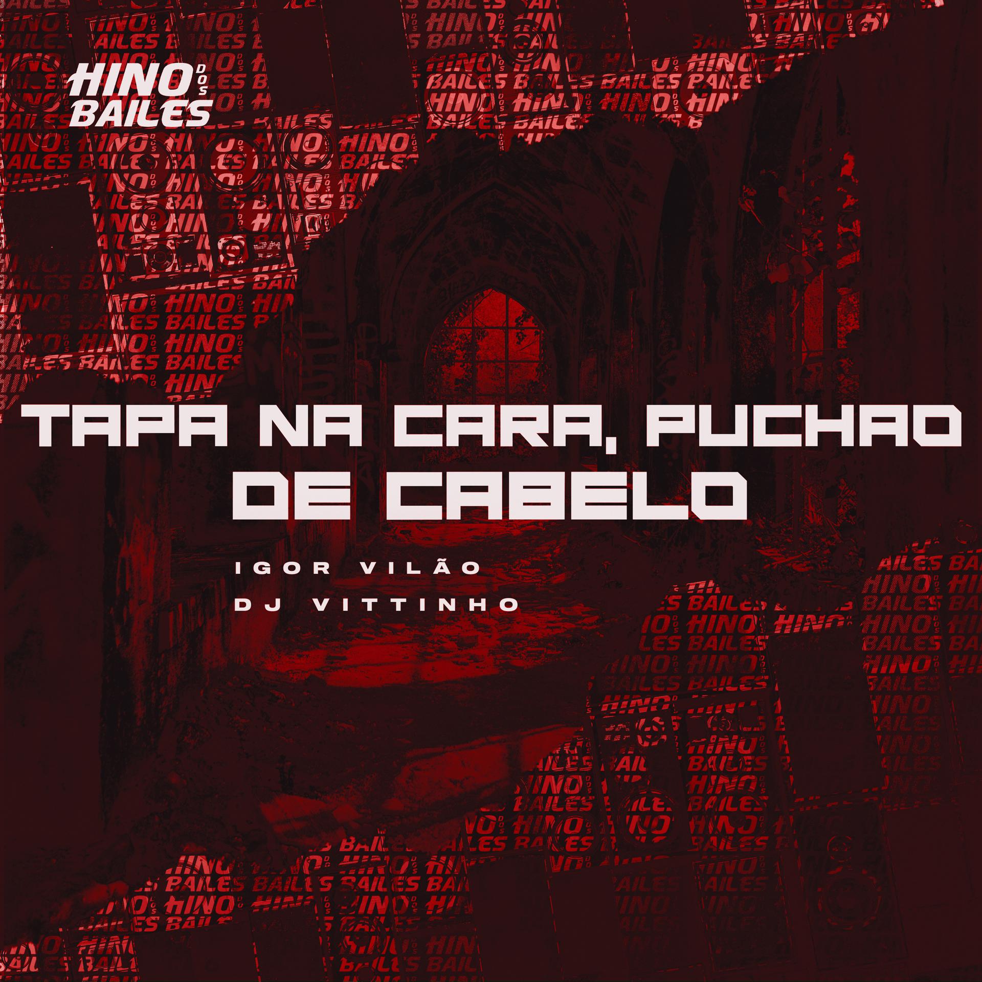 Постер альбома Tapa na Cara, Puchão de Cabelo